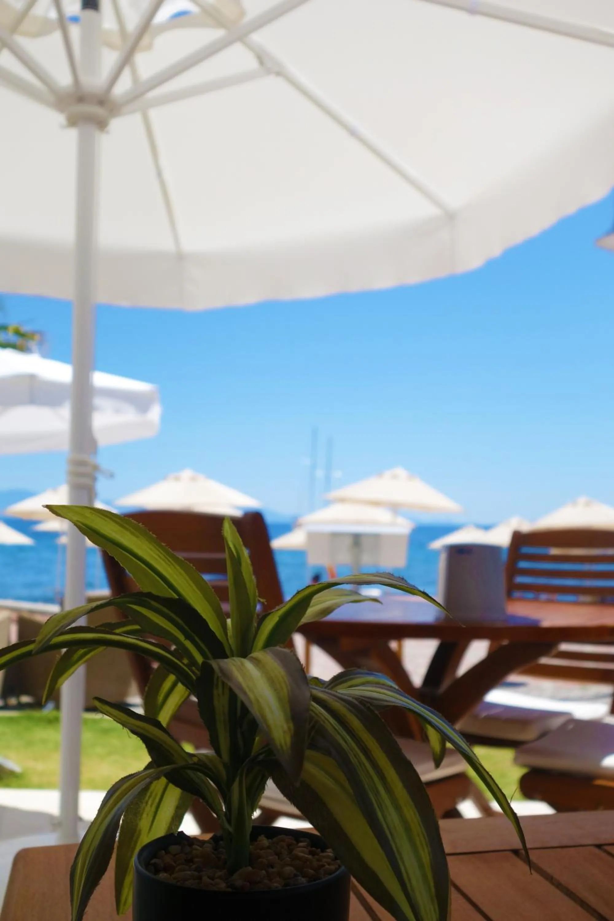 Restaurant/places to eat in Zest Exclusive Hotel & Spa