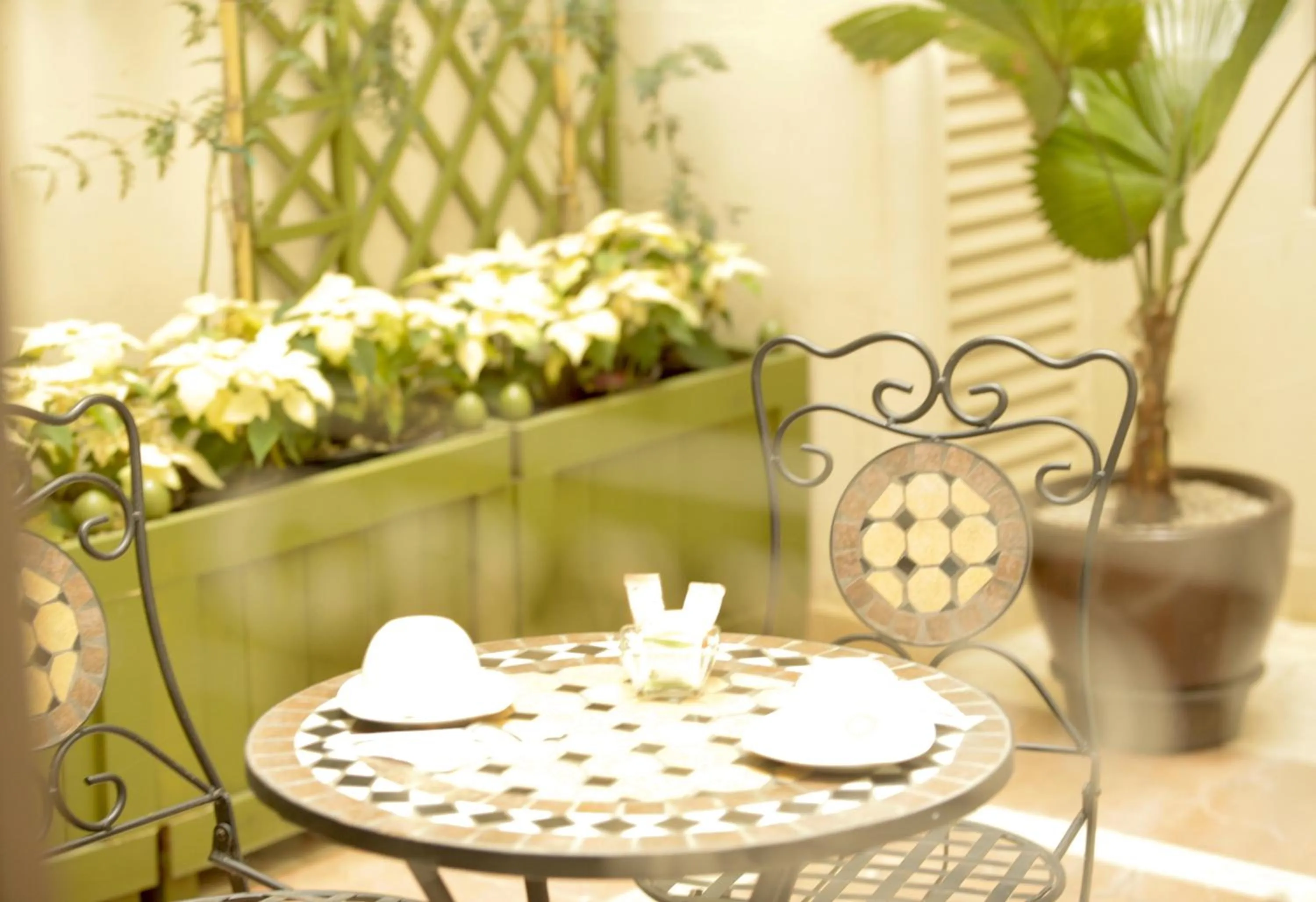 Garden in Grand Hotel Tepatitlán