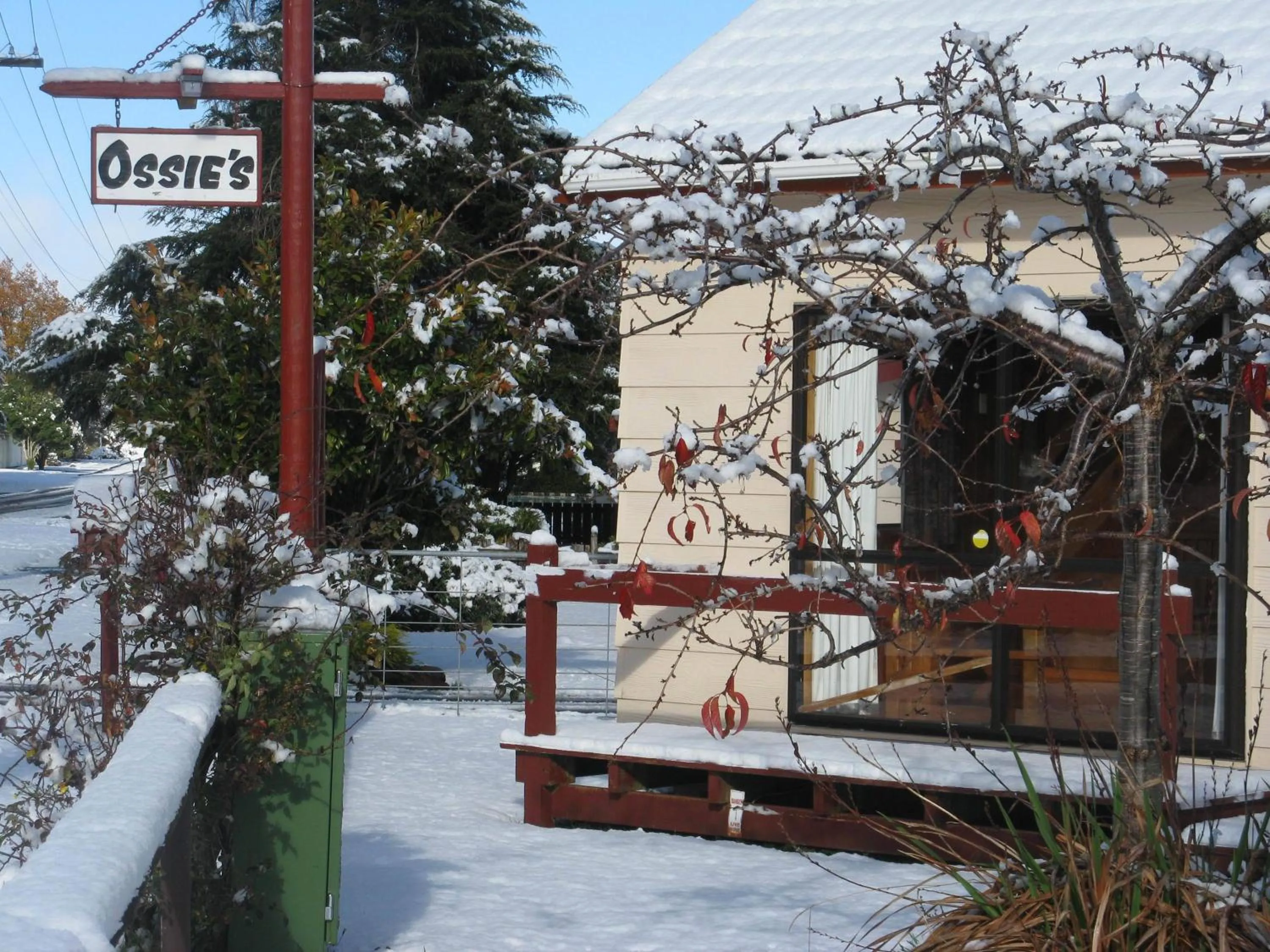 Facade/entrance in Ossies Motels and Chalets