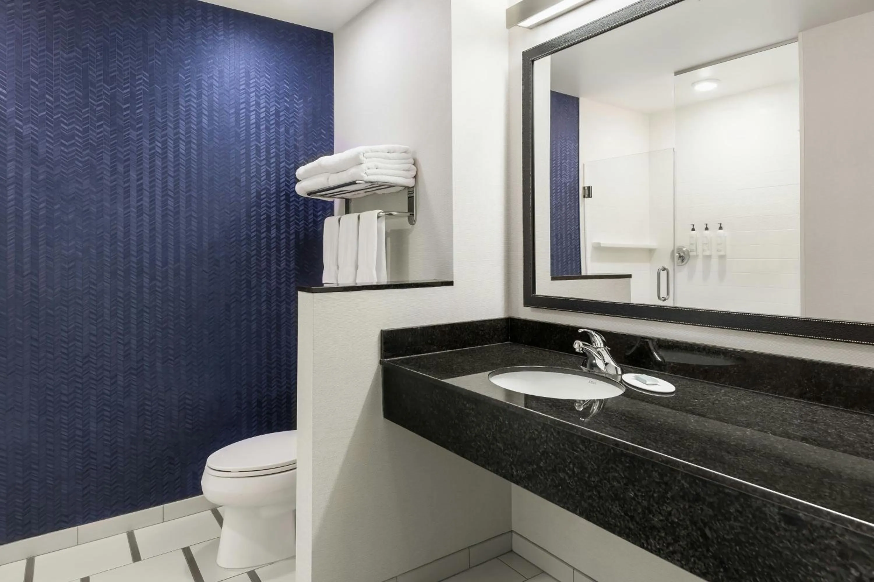 Bathroom in Fairfield Inn & Suites by Marriott St. Paul Northeast