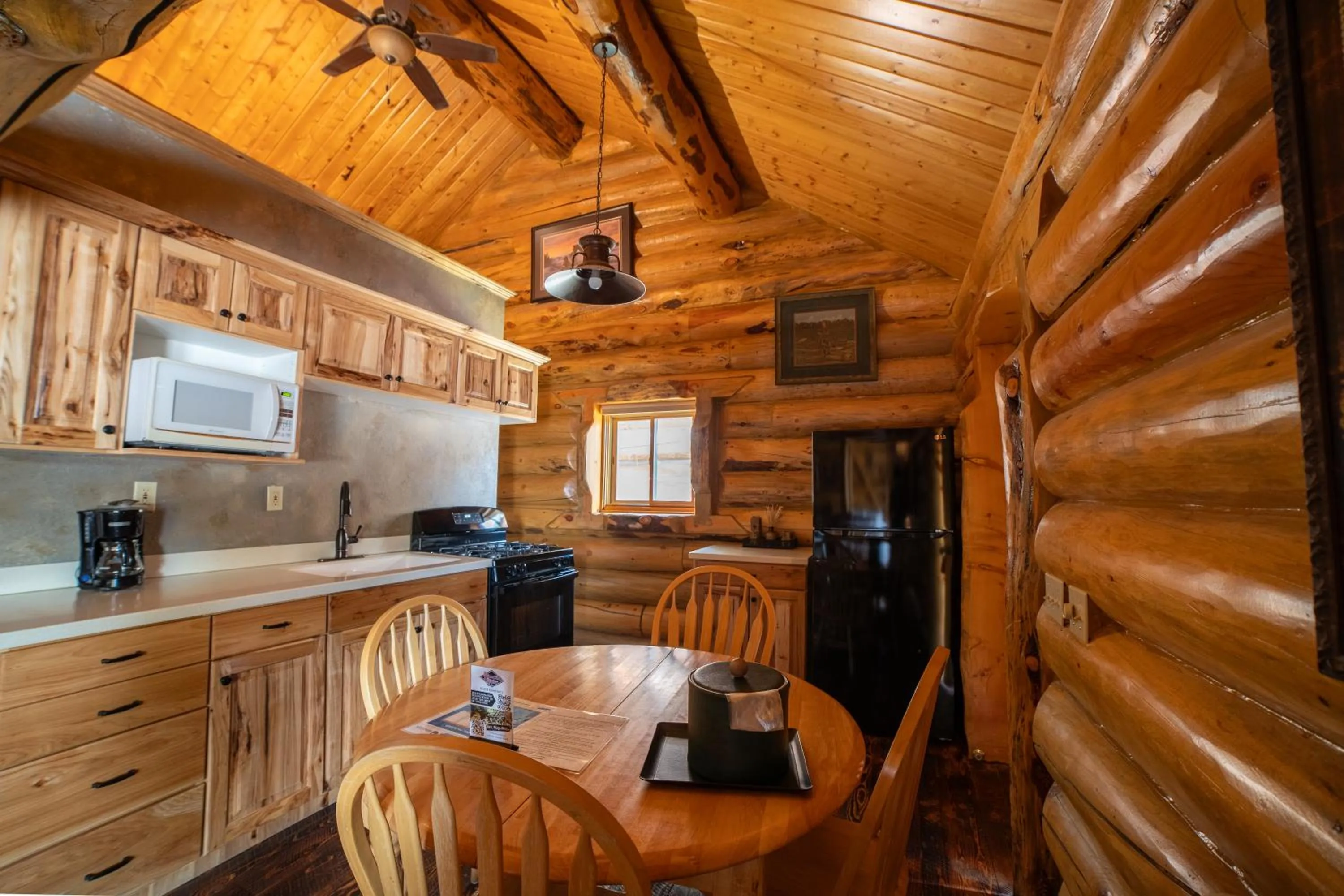 kitchen in Hibernation Station