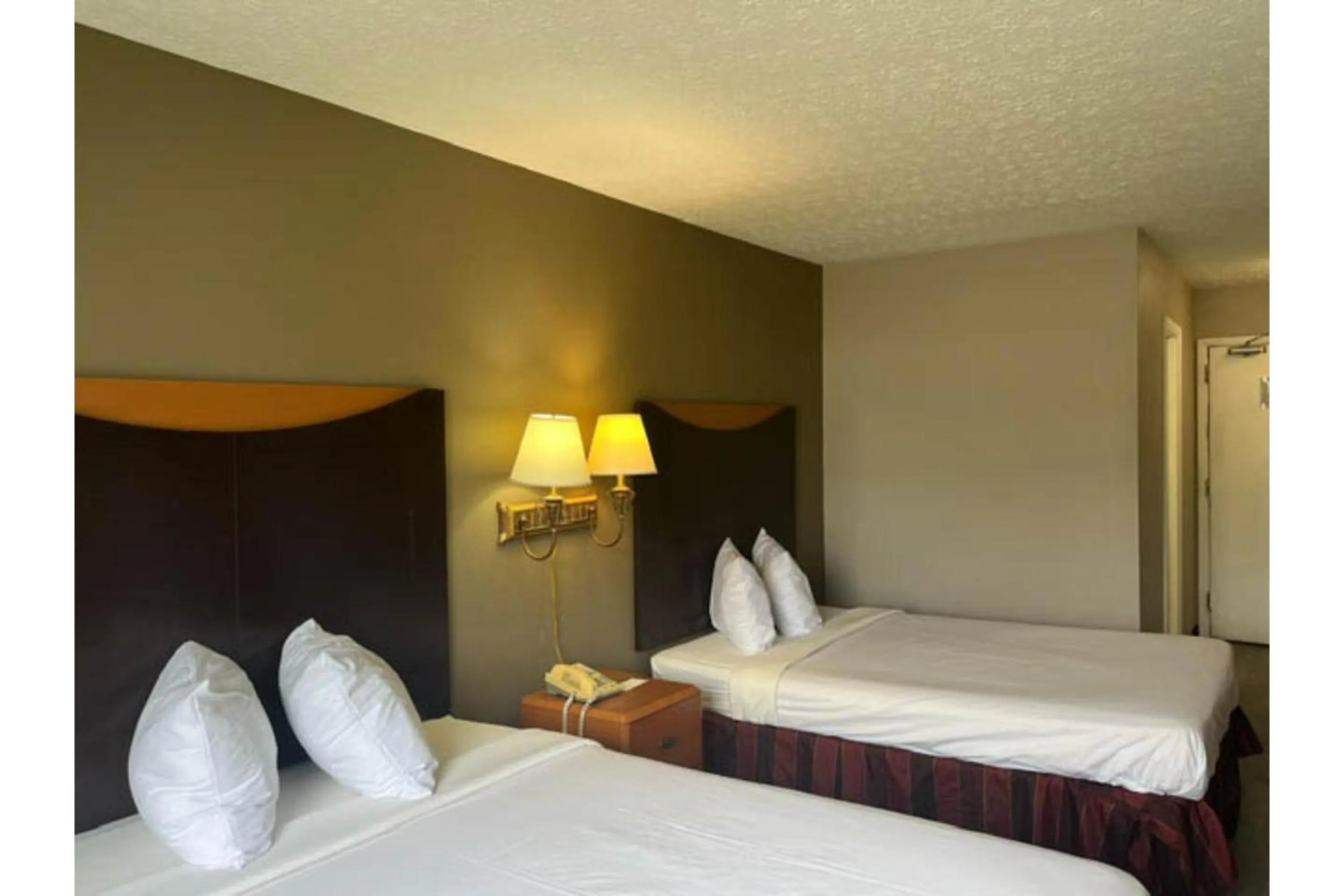 Bedroom in Motel 6 Williamstown, WV