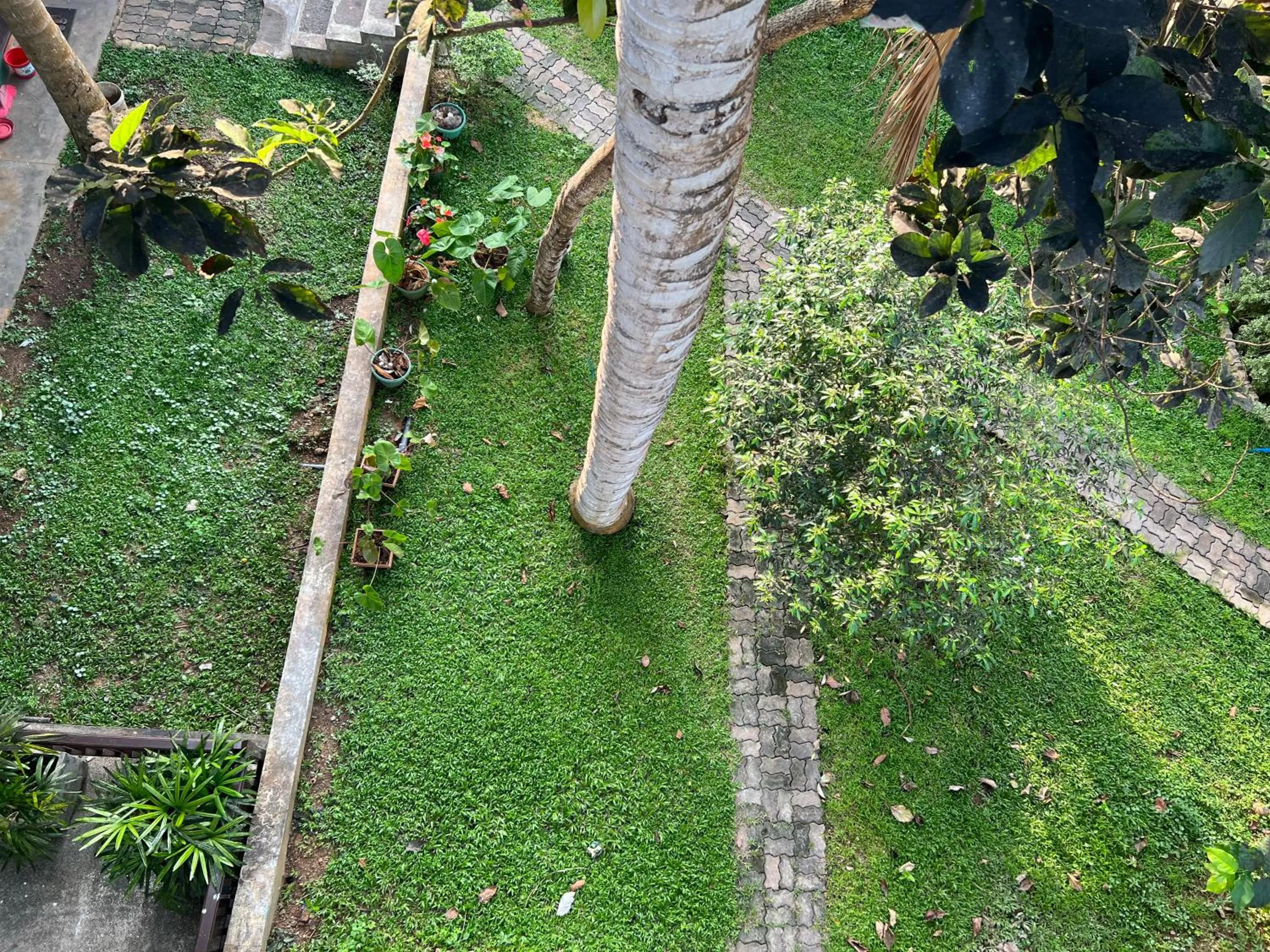 Garden view in VillaWatuna