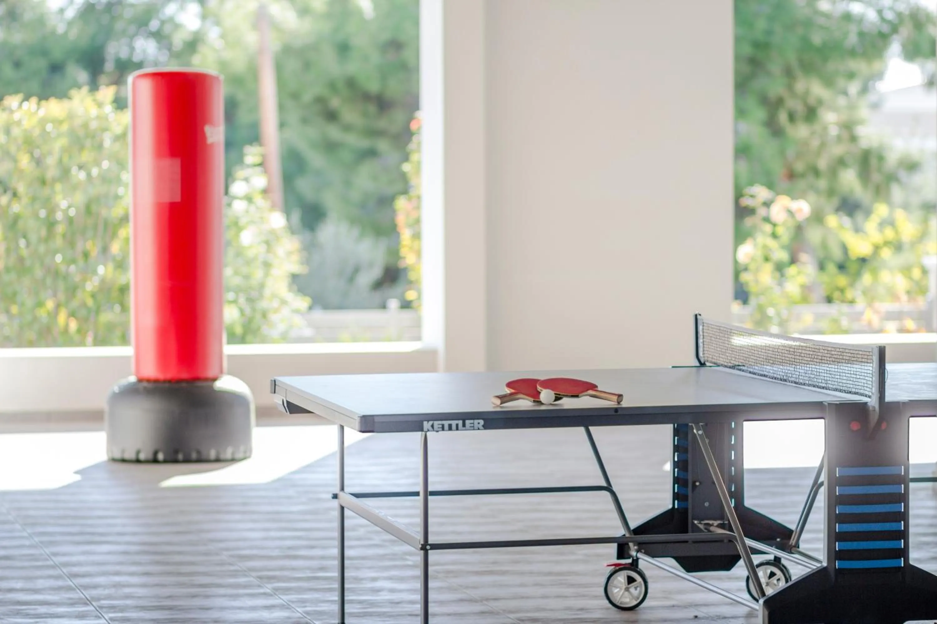 Table tennis in Scale Suites