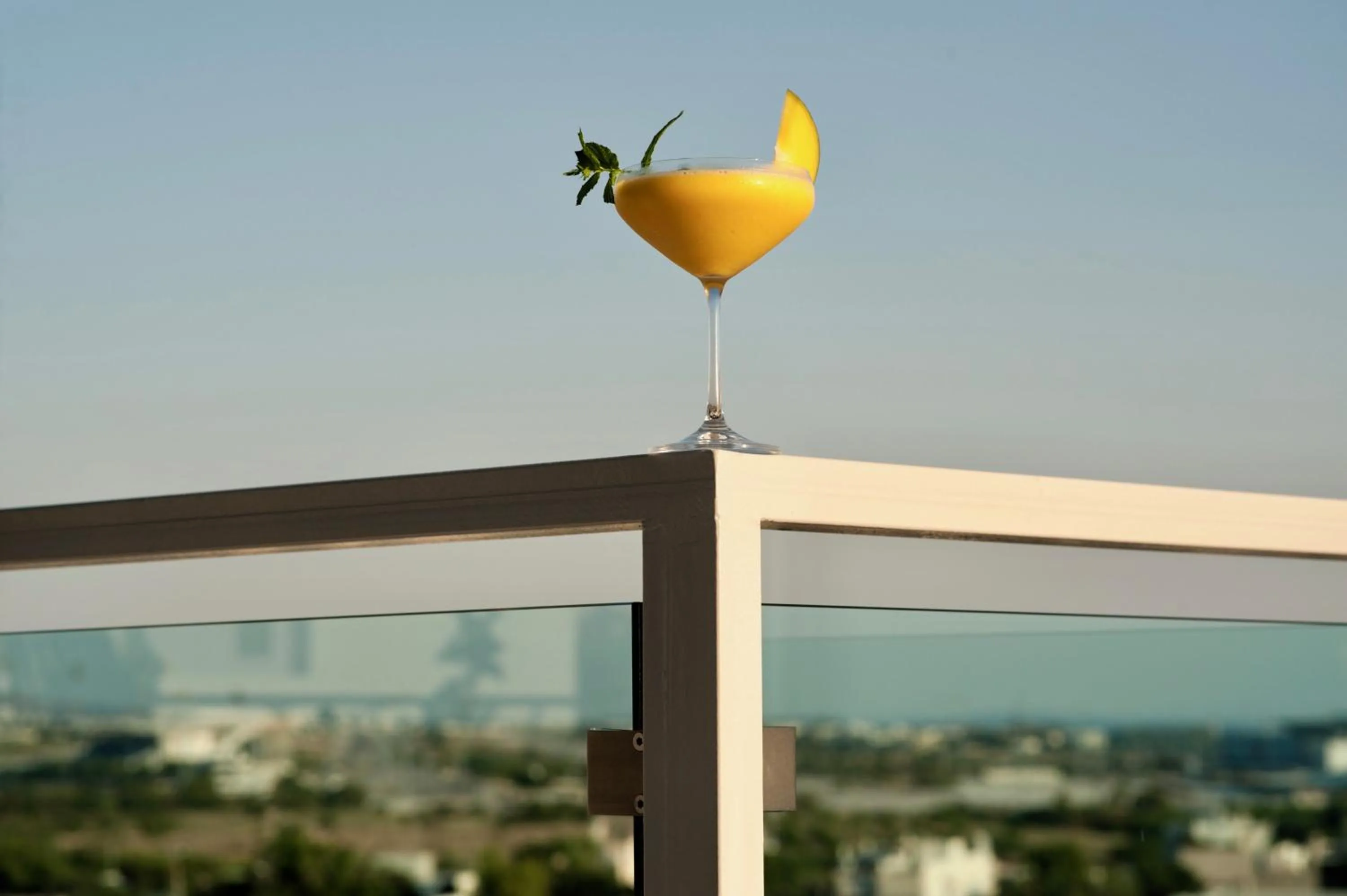 Alcoholic drinks in Scale Suites