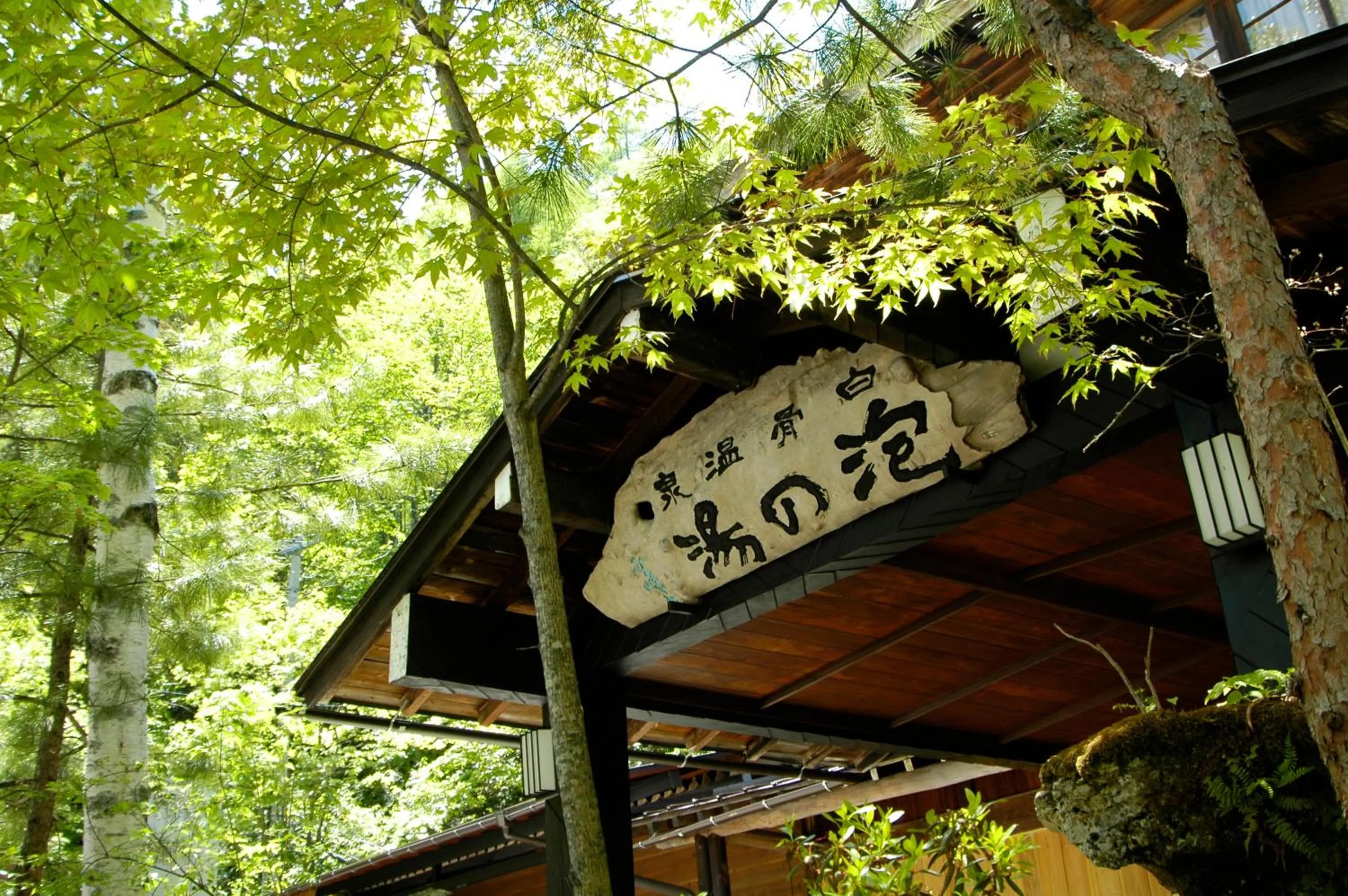 Facade/entrance in Awanoyu