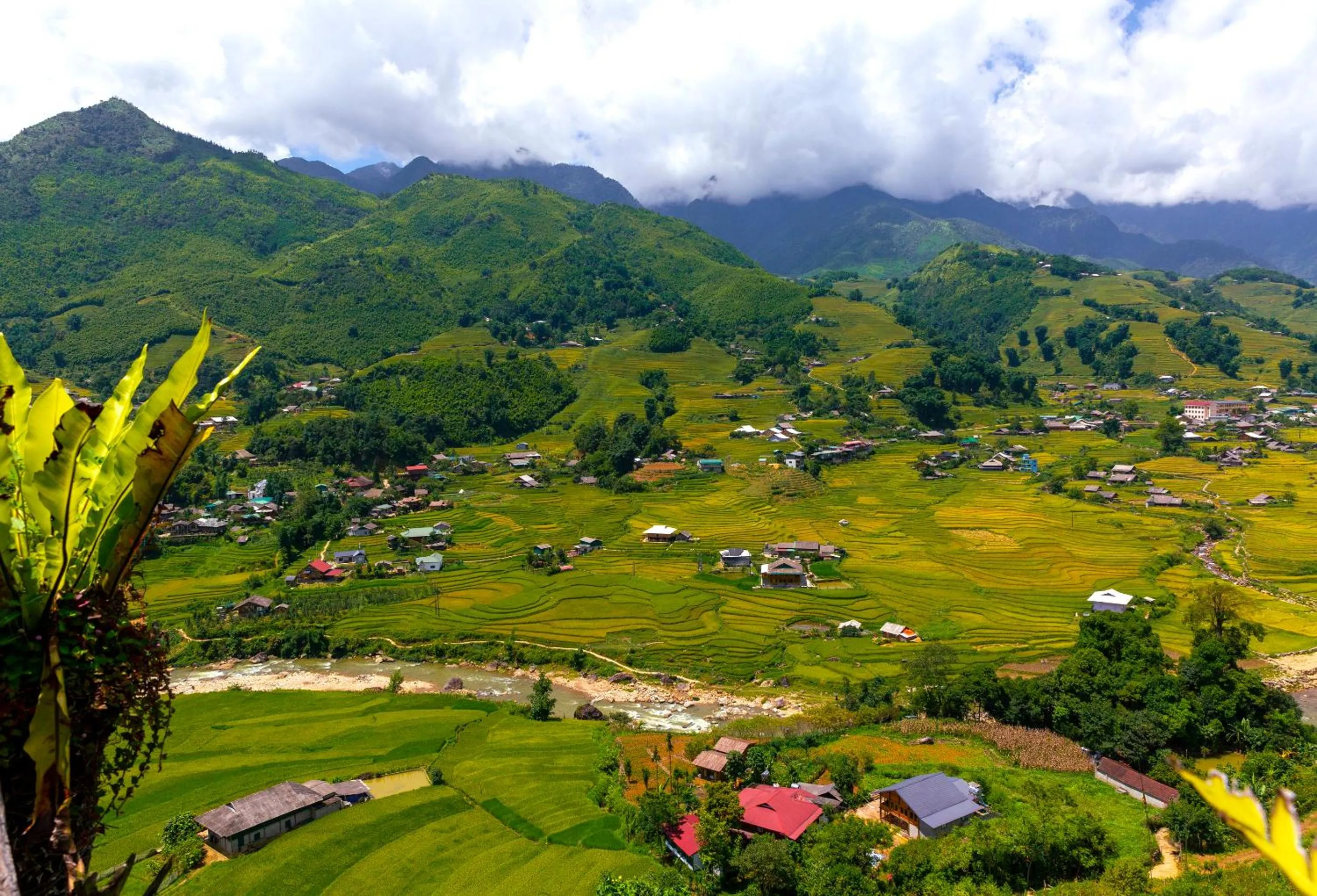 View (from property/room) in Muong Hoa River View Hotel