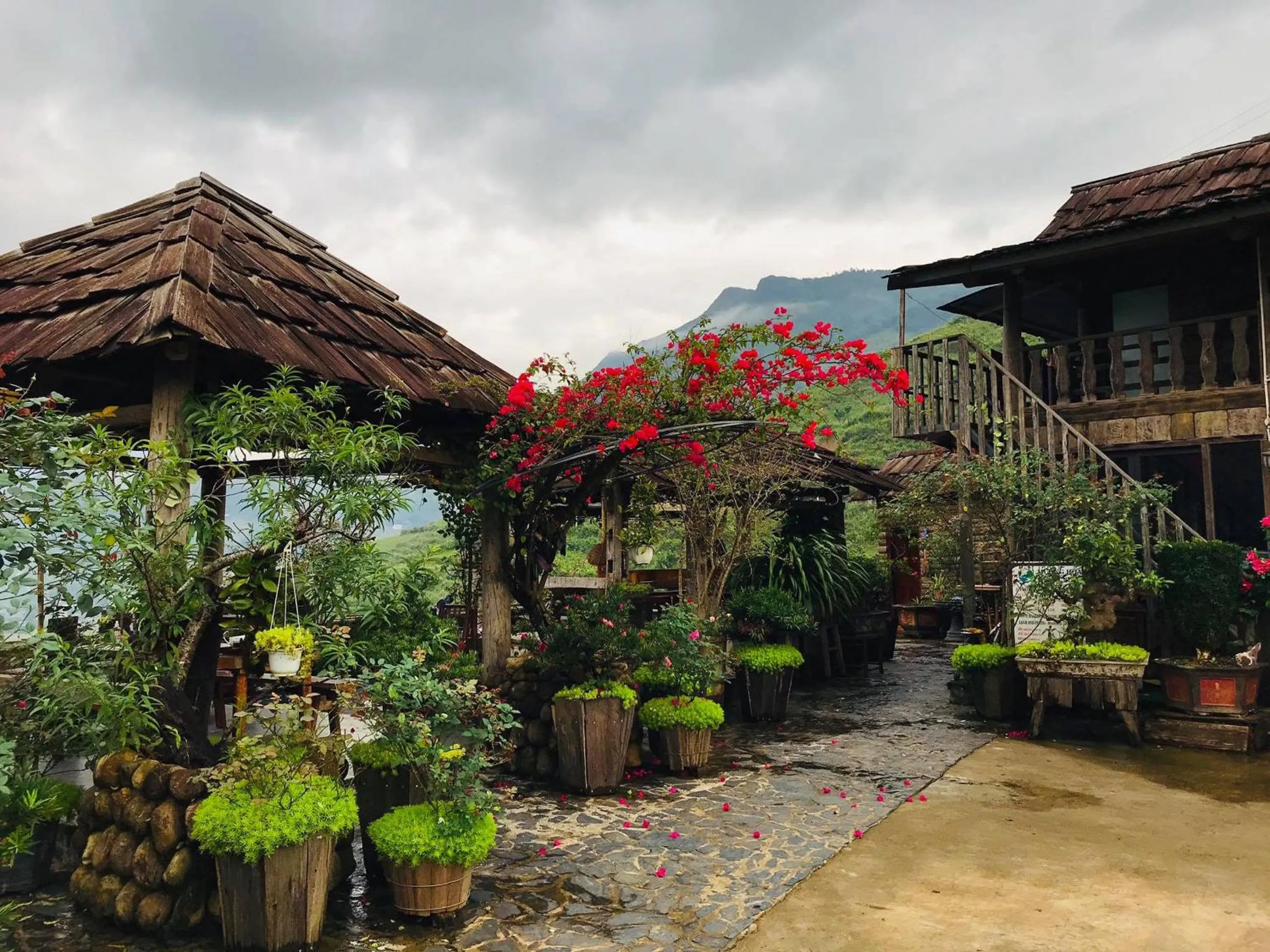 View (from property/room) in Muong Hoa River View Hotel