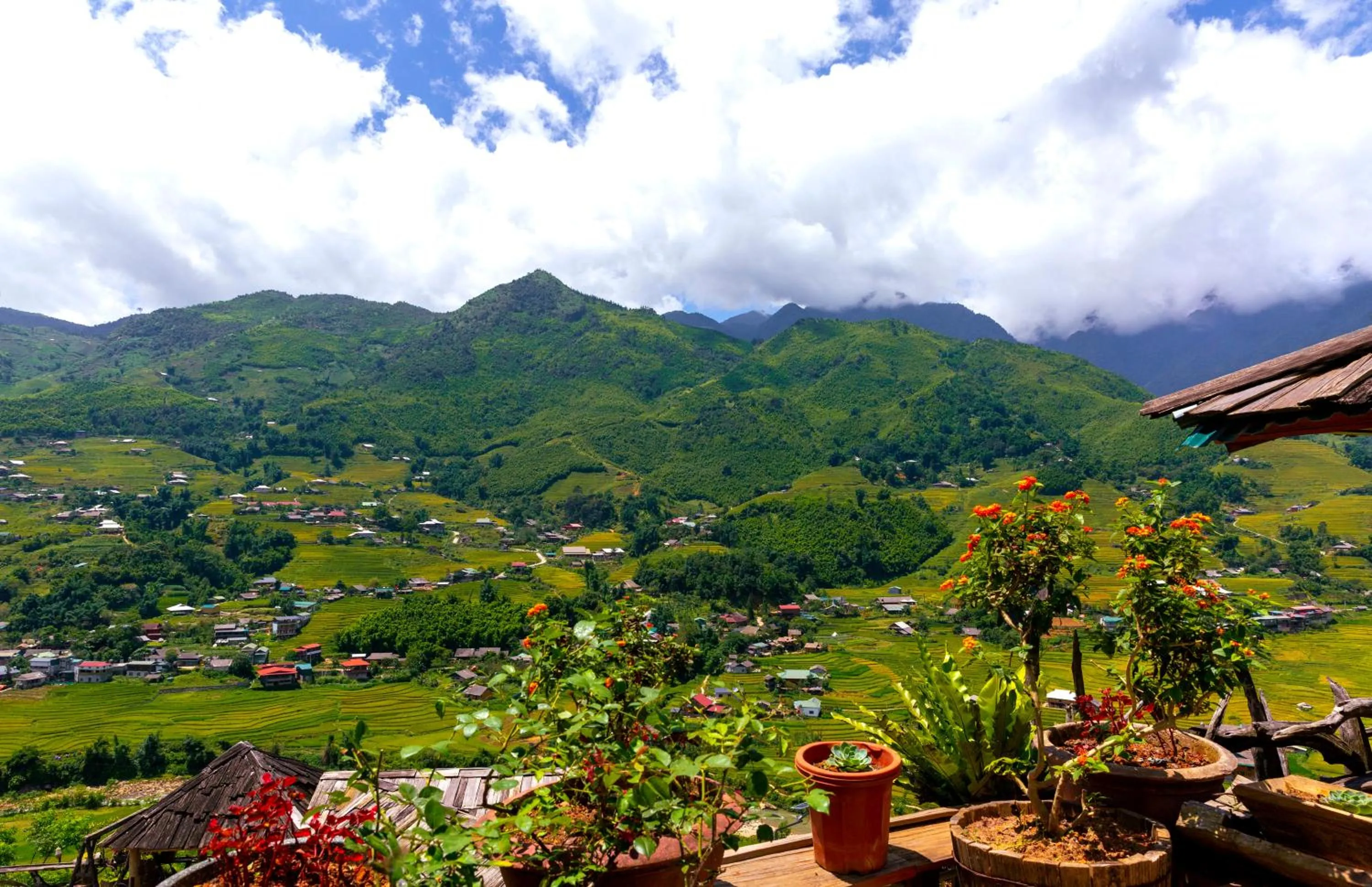 View (from property/room) in Muong Hoa River View Hotel