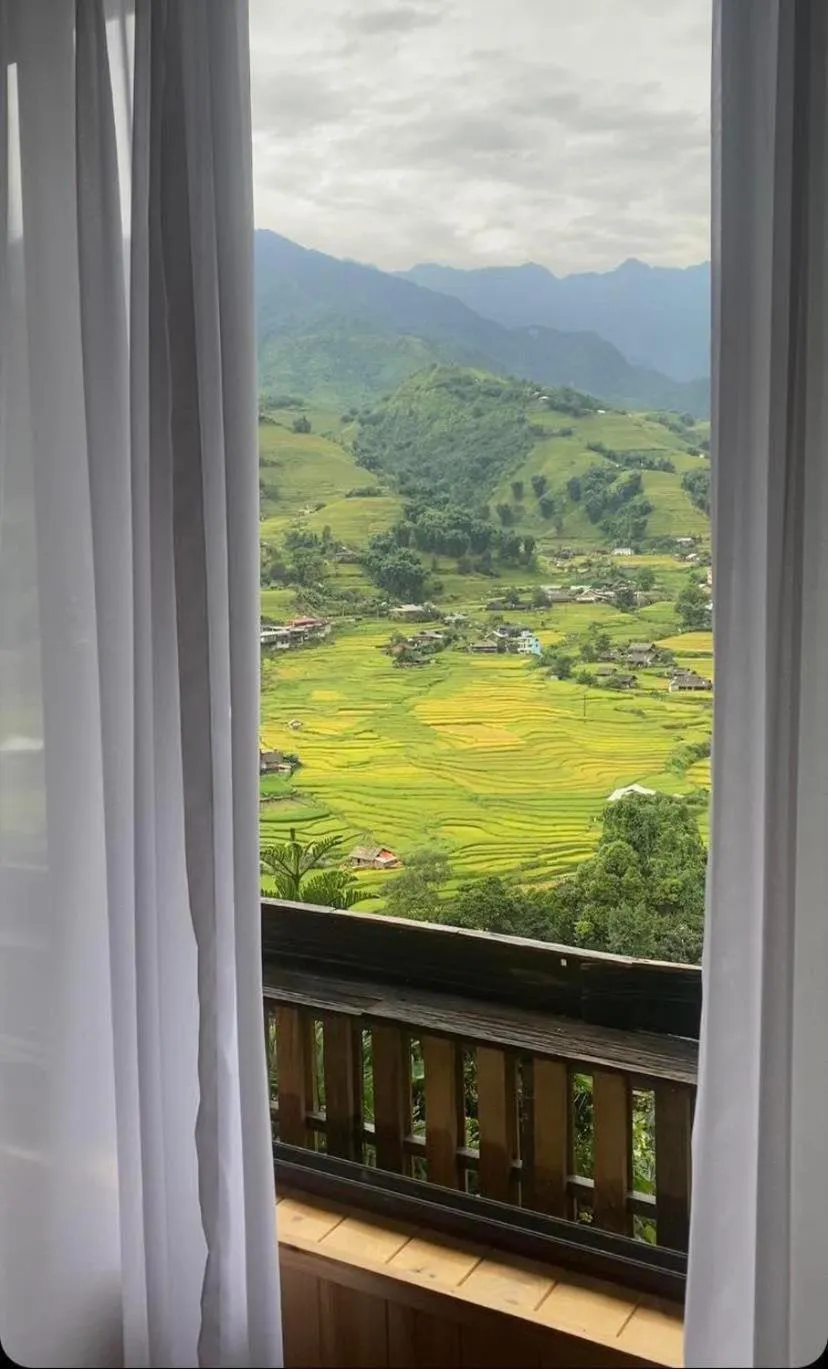 View (from property/room) in Muong Hoa River View Hotel