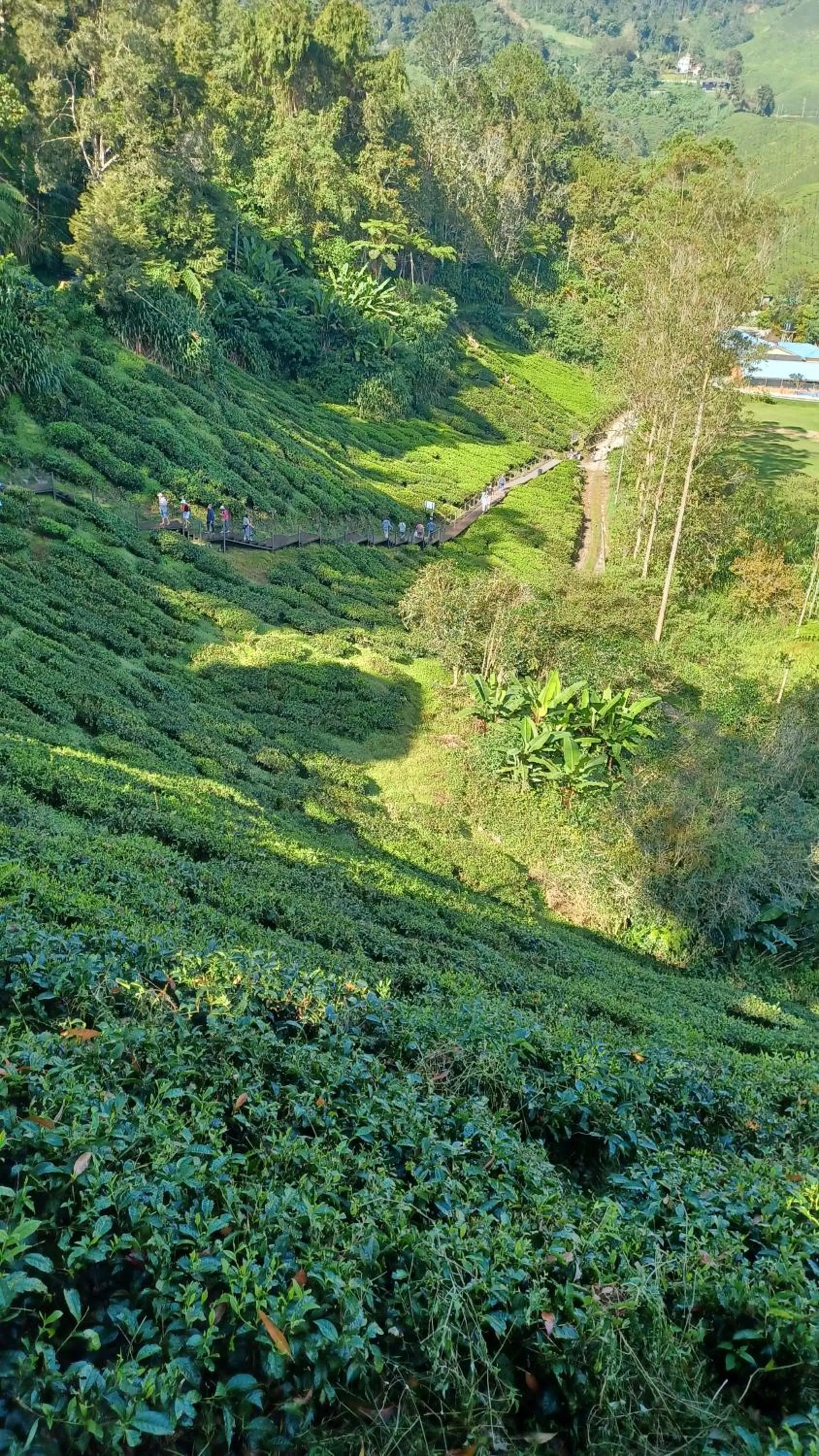 BRICKS Cameron Hostel
