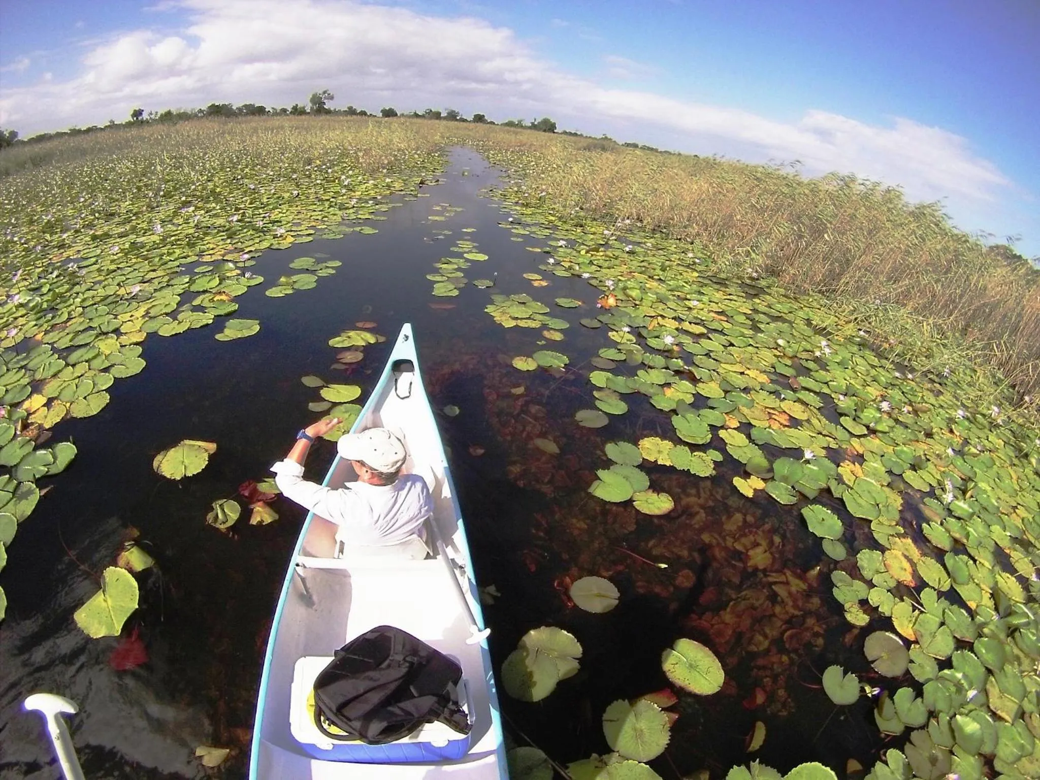 Canoeing in Bahia Mar Boutique Hotel