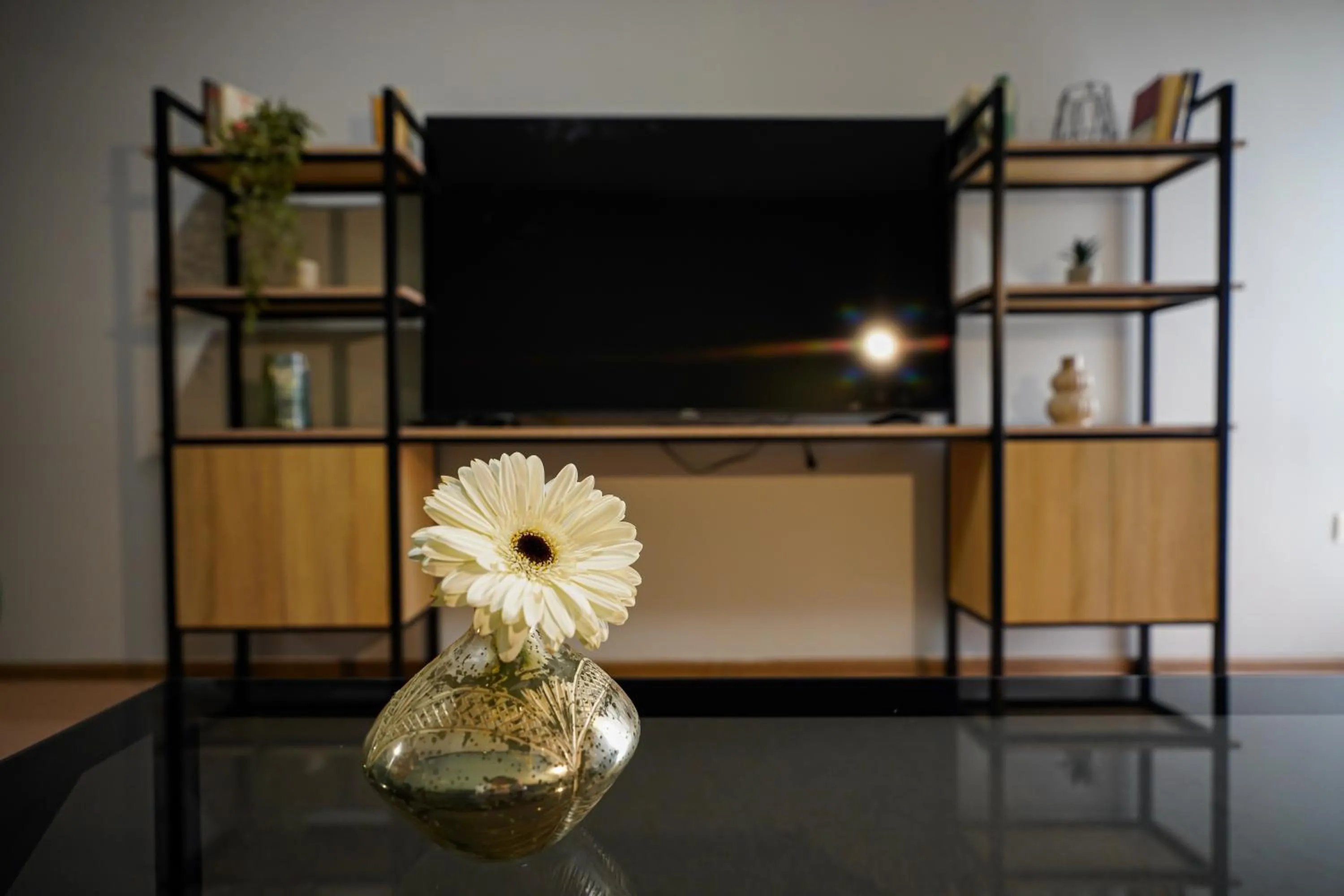 TV and multimedia in Felinger Concept Hotel