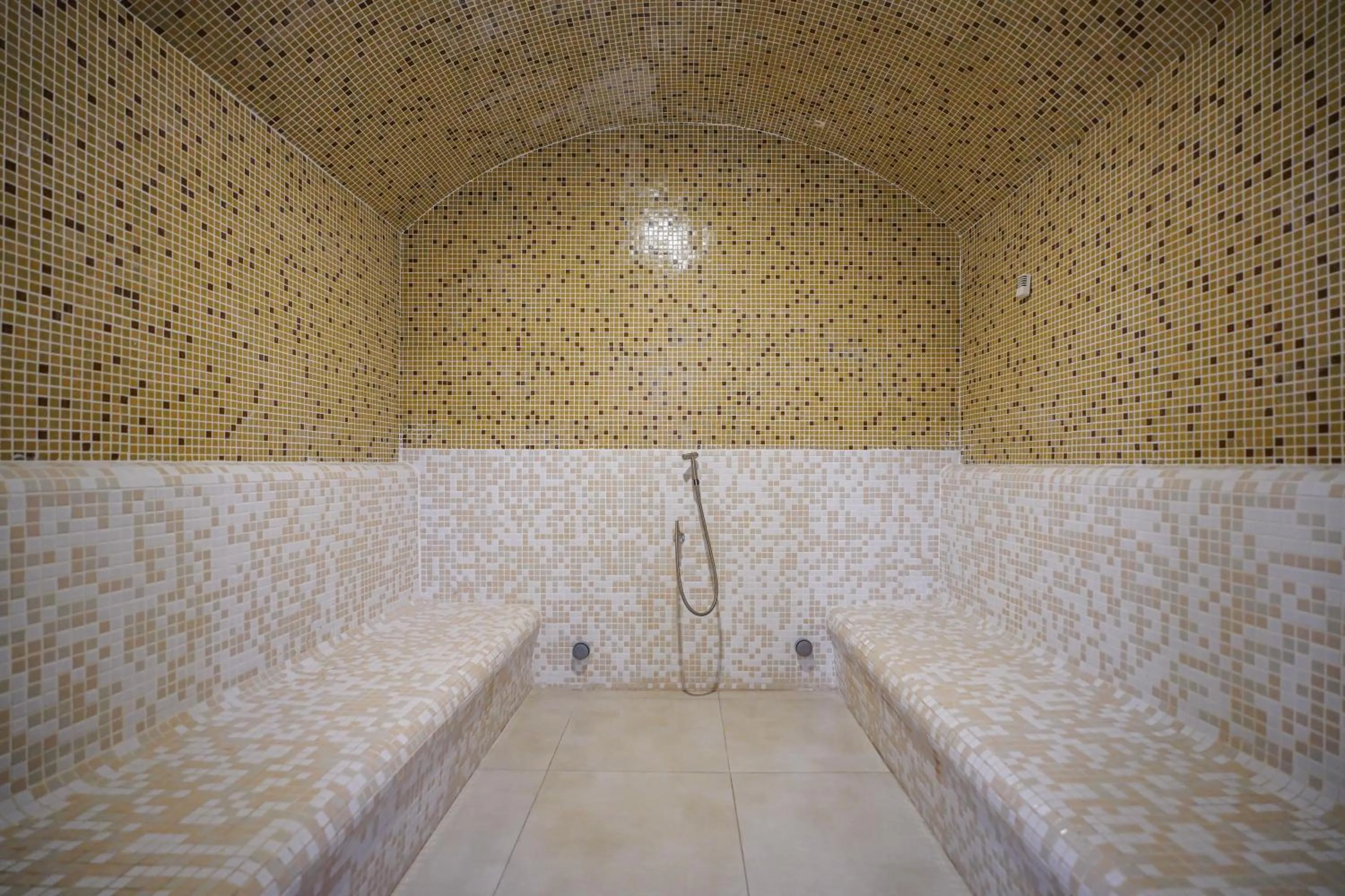 Sauna in Felinger Concept Hotel