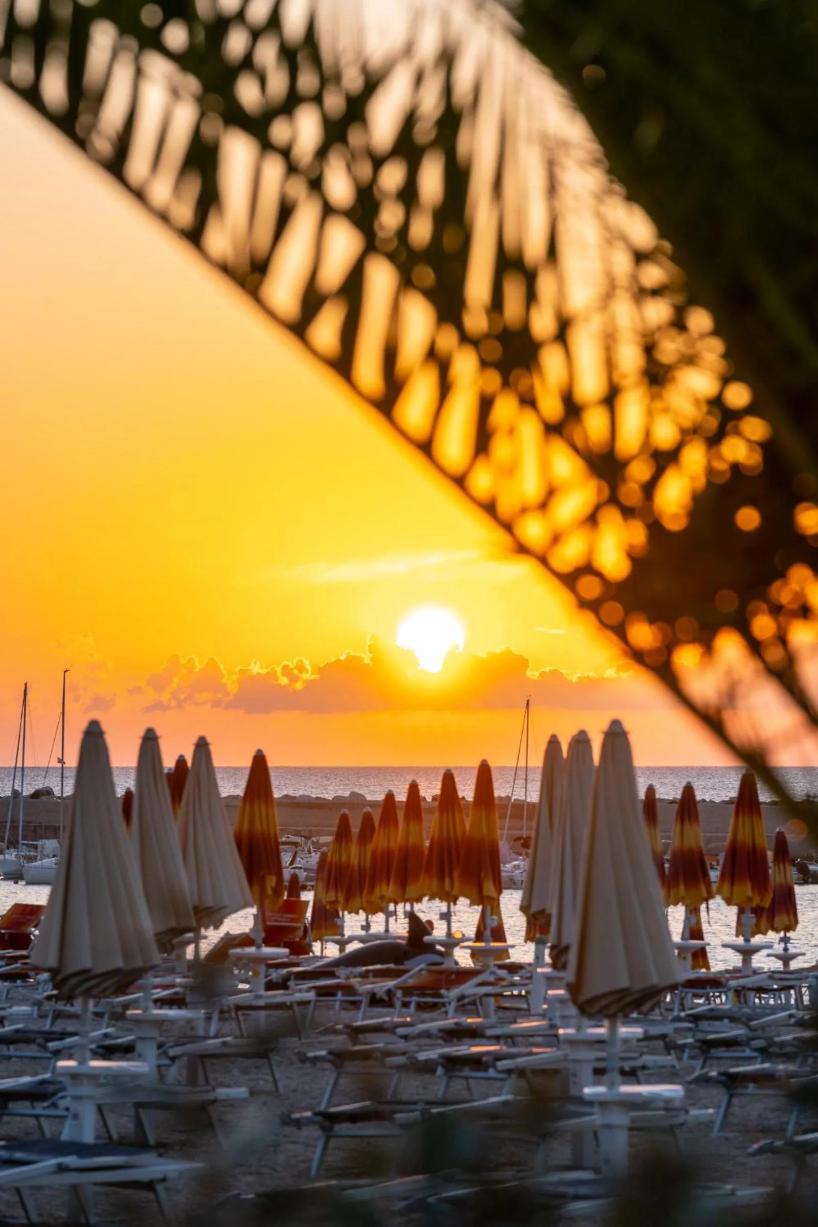 Day in Marino1958 RTA