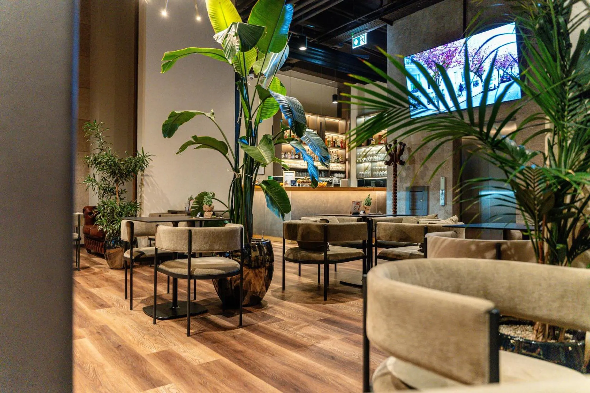 Communal lounge/ TV room in Hotel Lonca