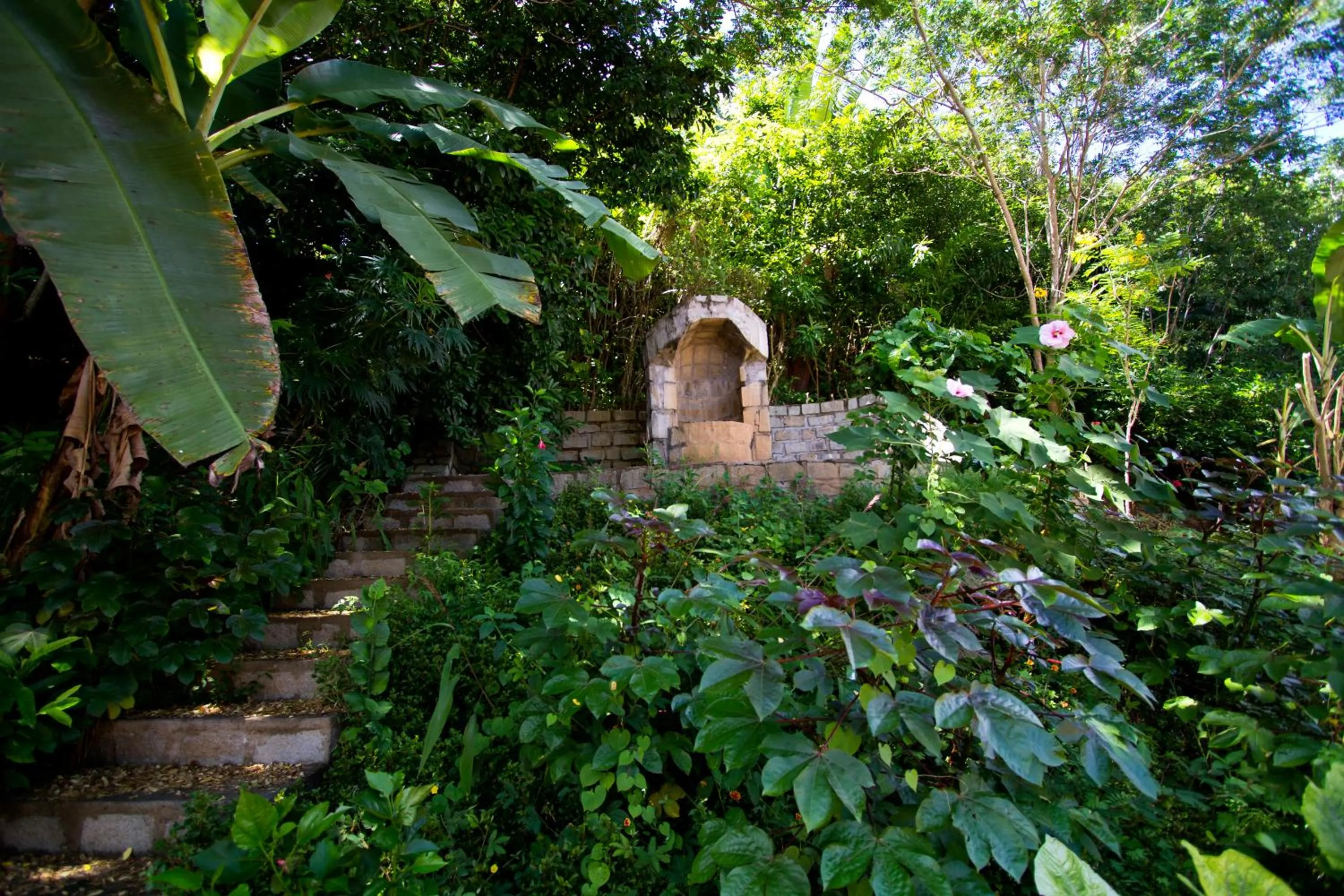 Garden in Anjiamarango Beach Resort