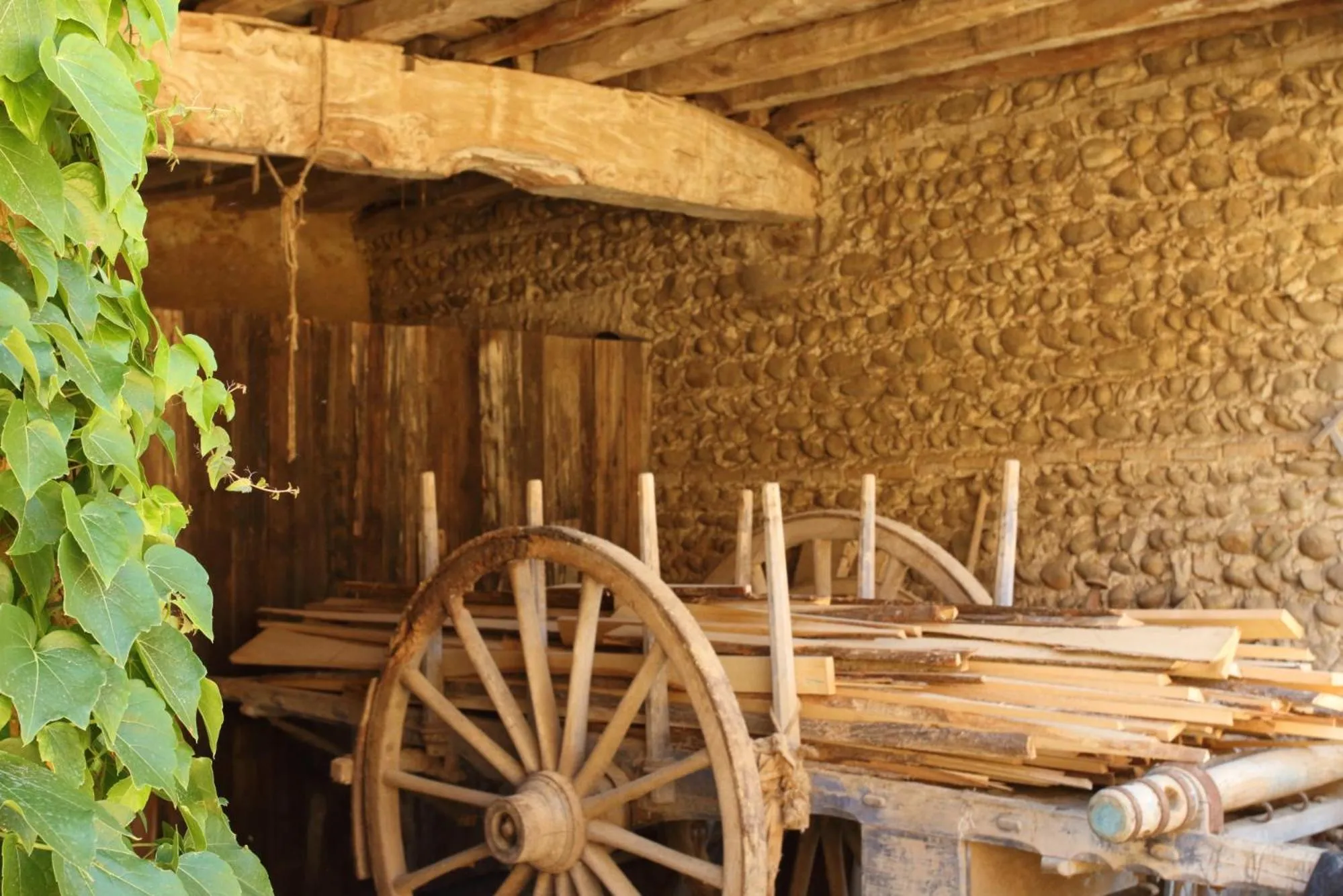 Garden in La ferme de Berlioz