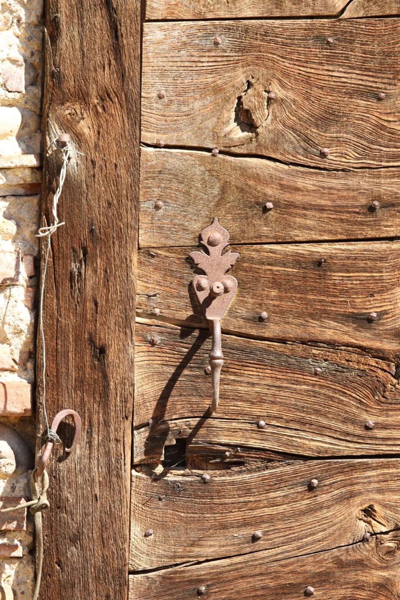 Day in La ferme de Berlioz