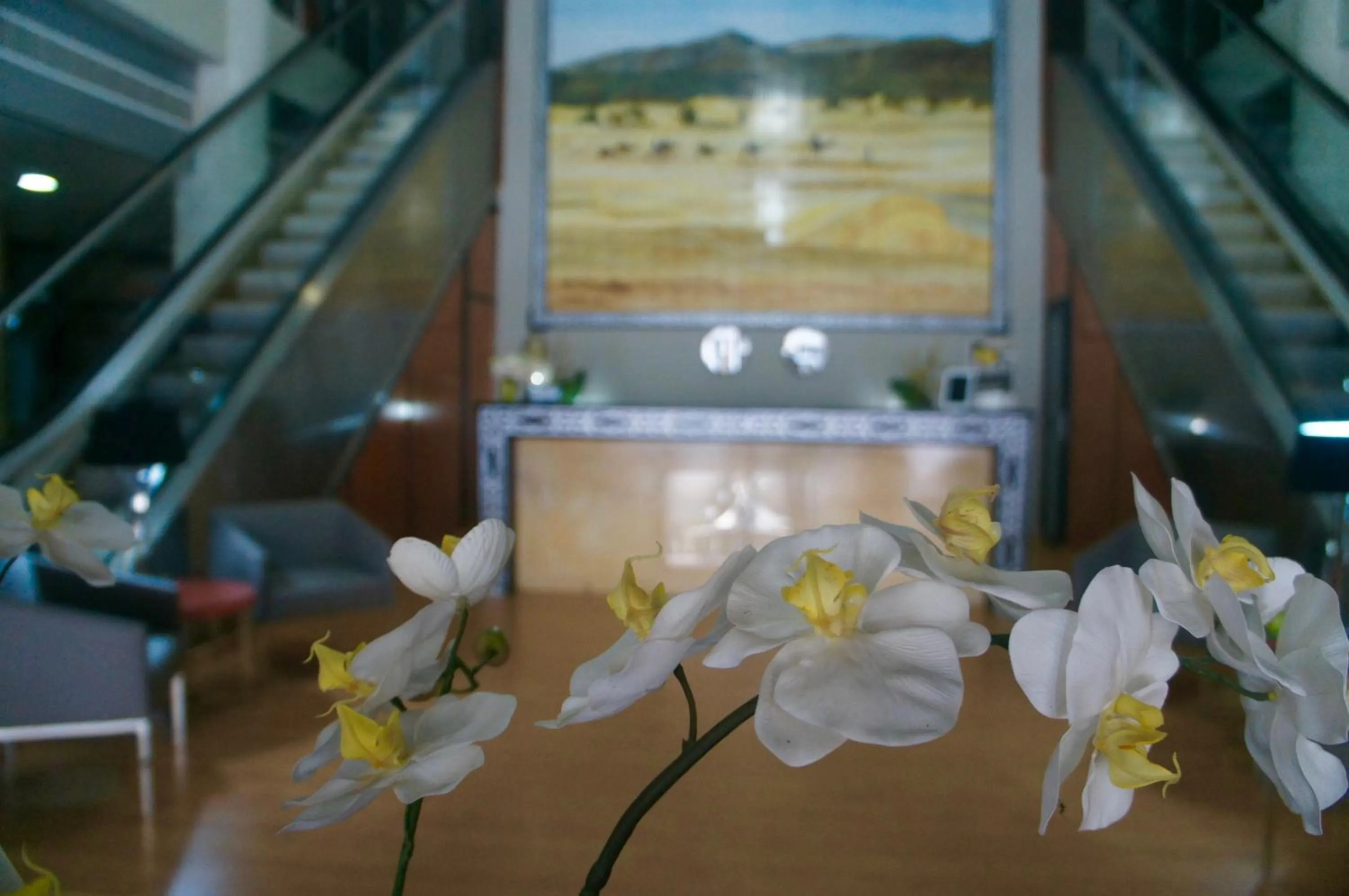 Property building in Al Khaima City Center