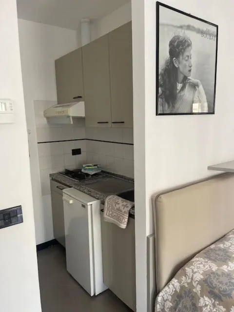 Kitchen or kitchenette in Residence Principi di Piemonte