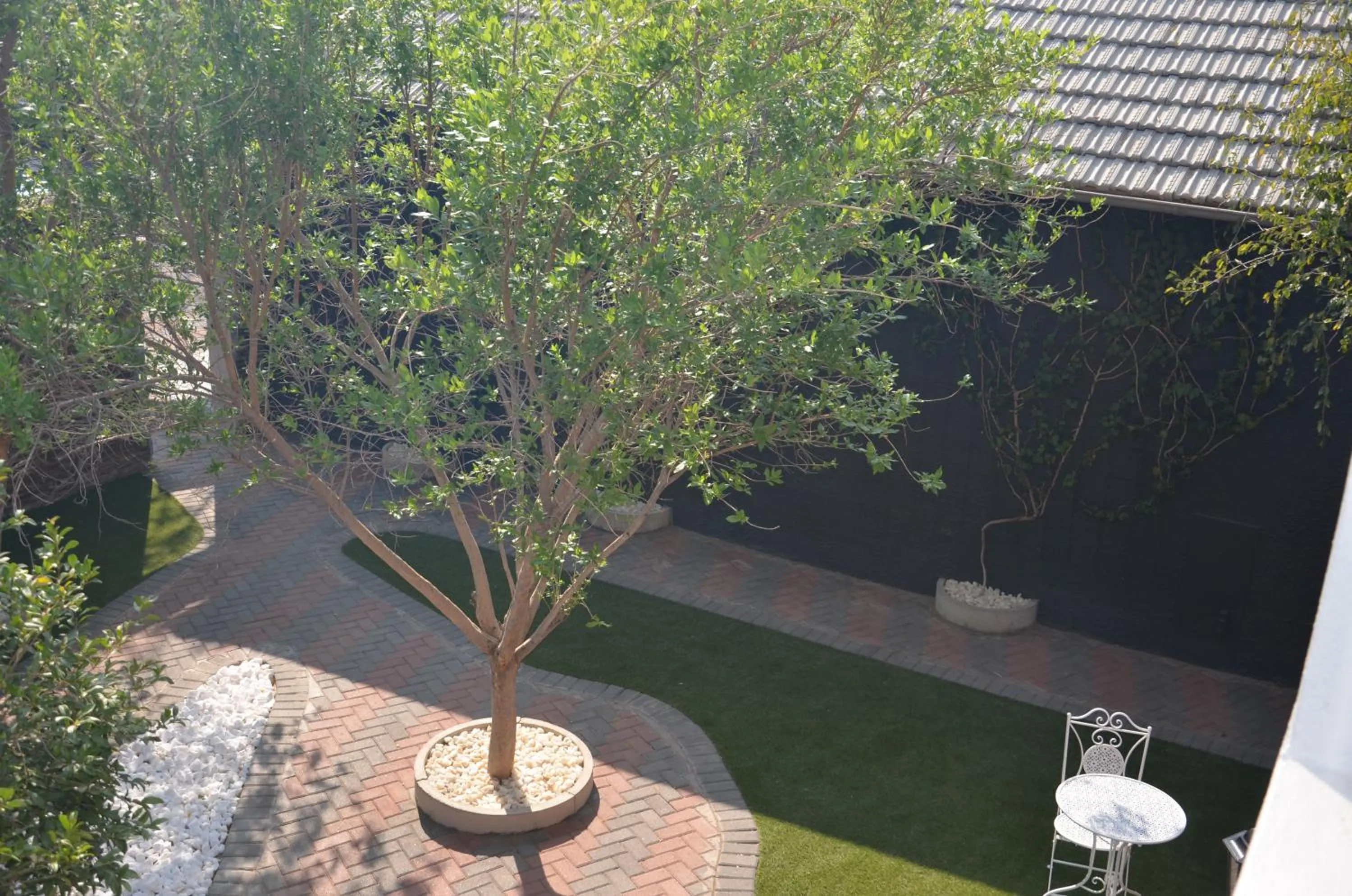 Garden in Windhoek Gardens Boutique Hotel