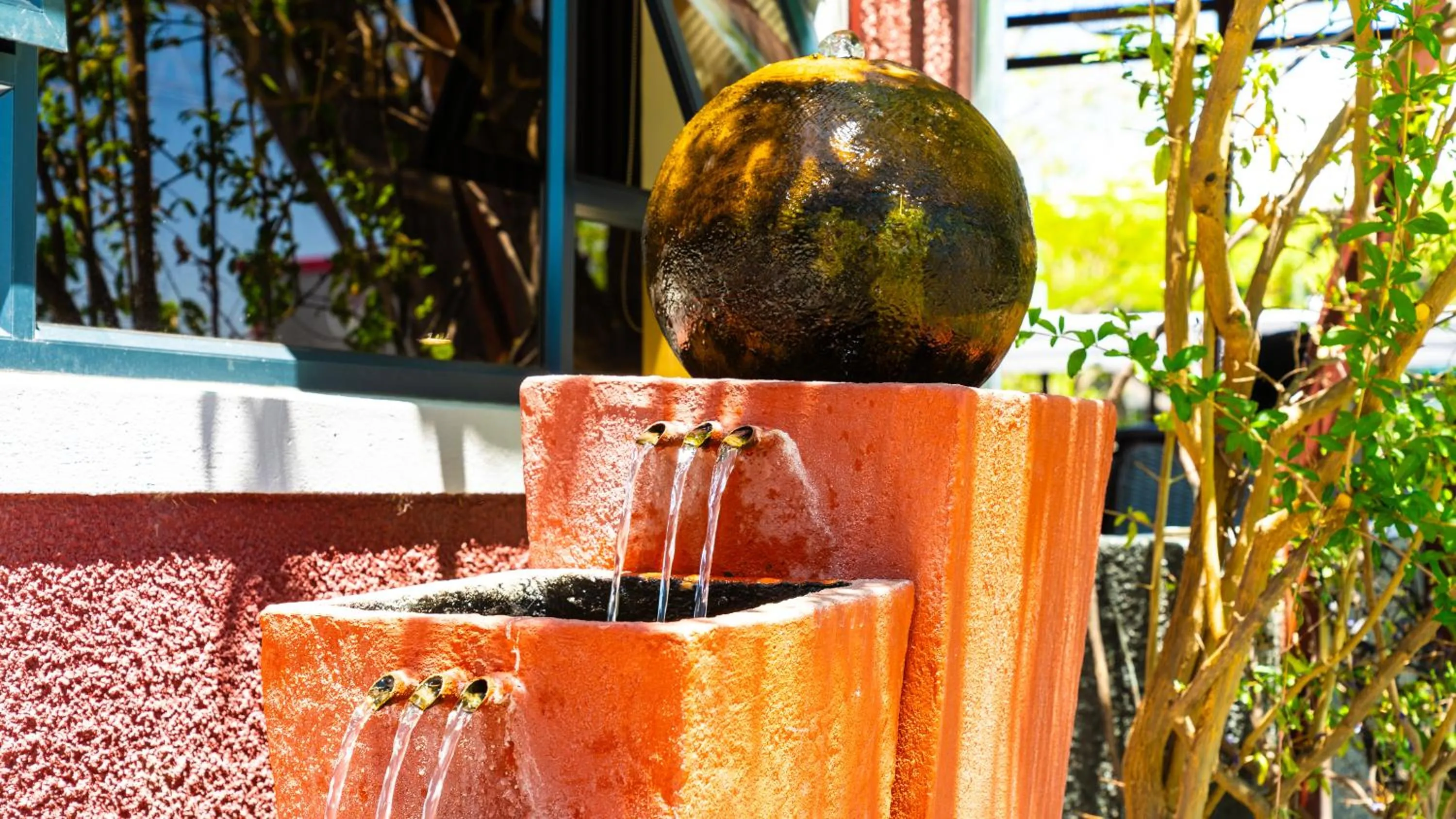 Garden view in Windhoek Gardens Boutique Hotel