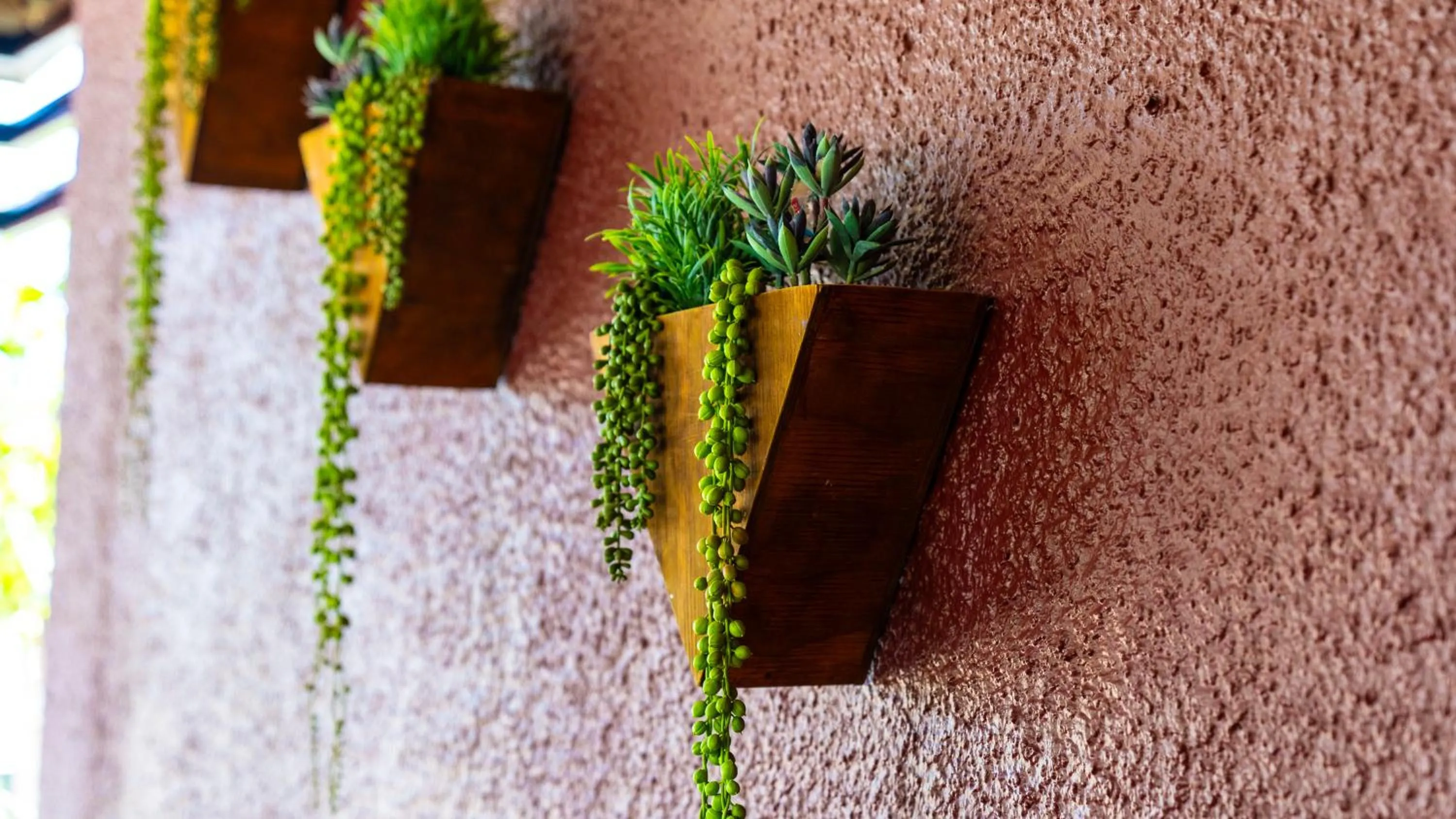 Day in Windhoek Gardens Boutique Hotel