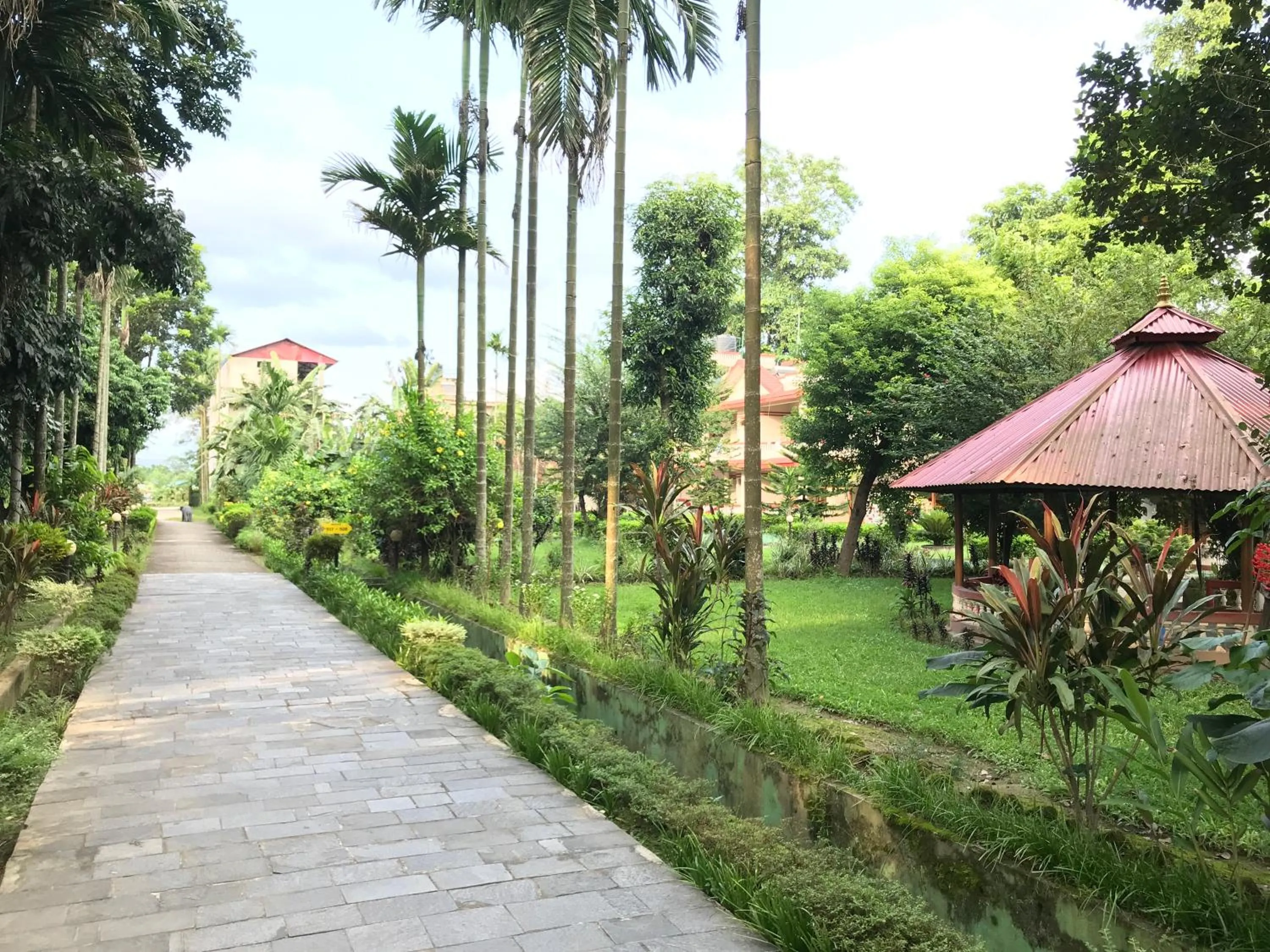 Garden in Hotel Hermitage