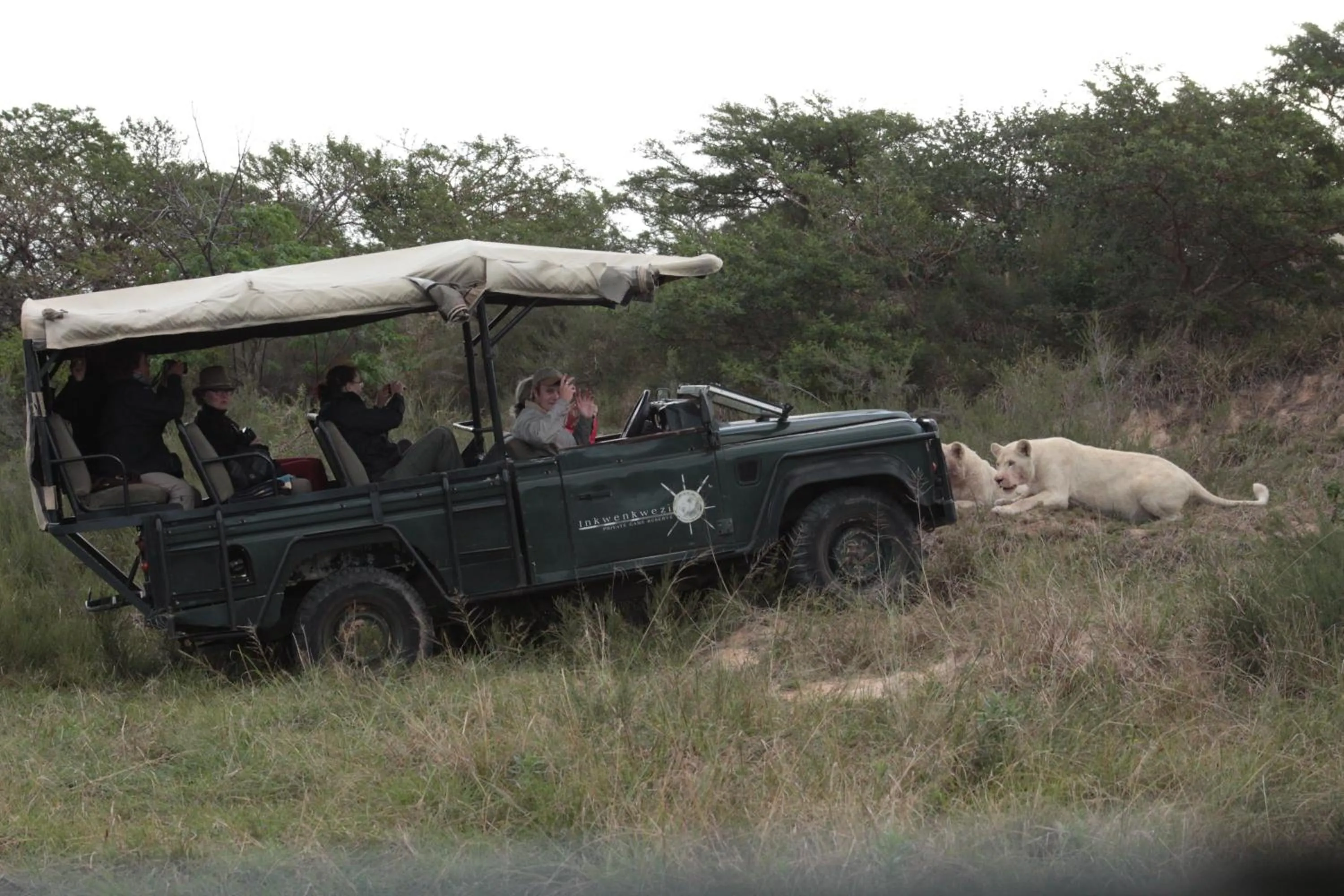 Activities in Inkwenkwezi Private Game Reserve