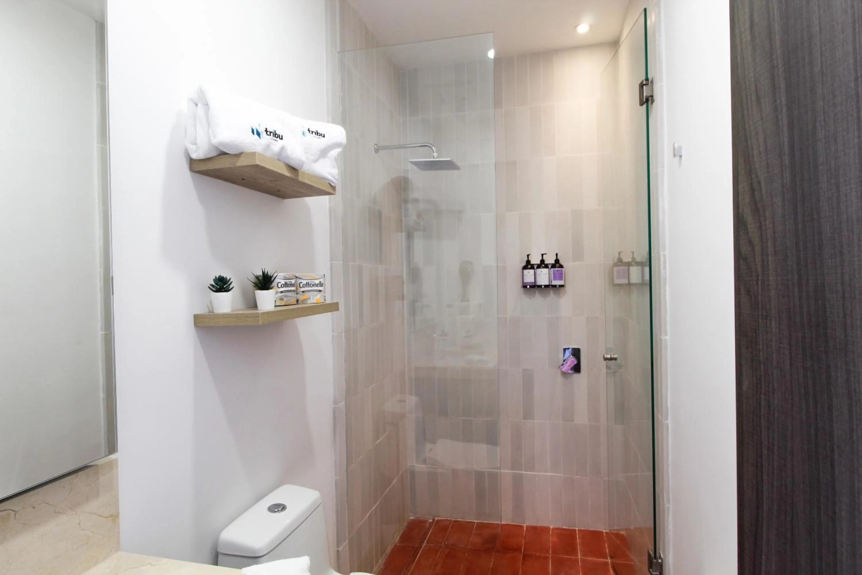 Shower in Tribu Chapultepec 67
