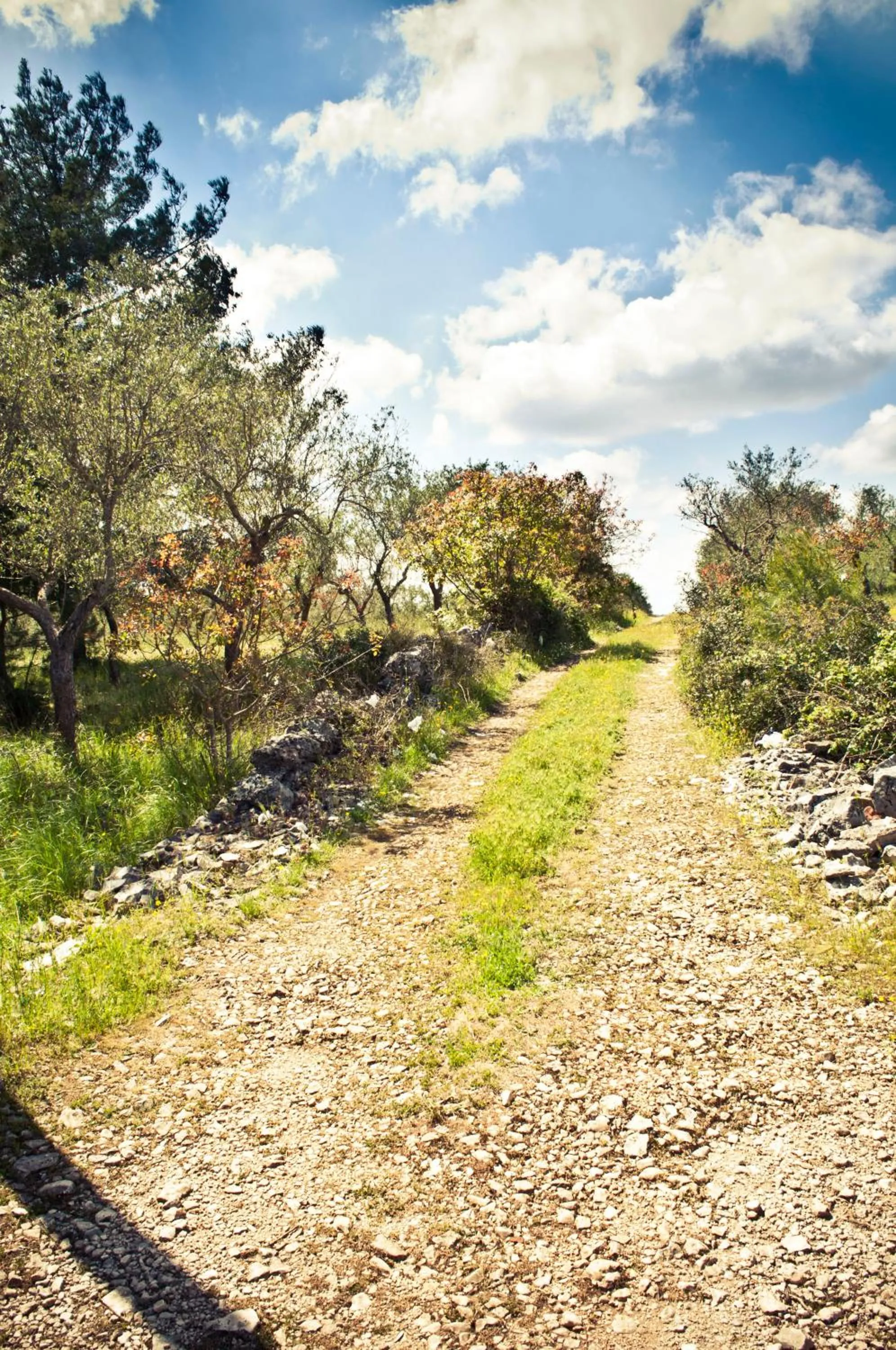 Autumn in B&b Parco Alta Murgia