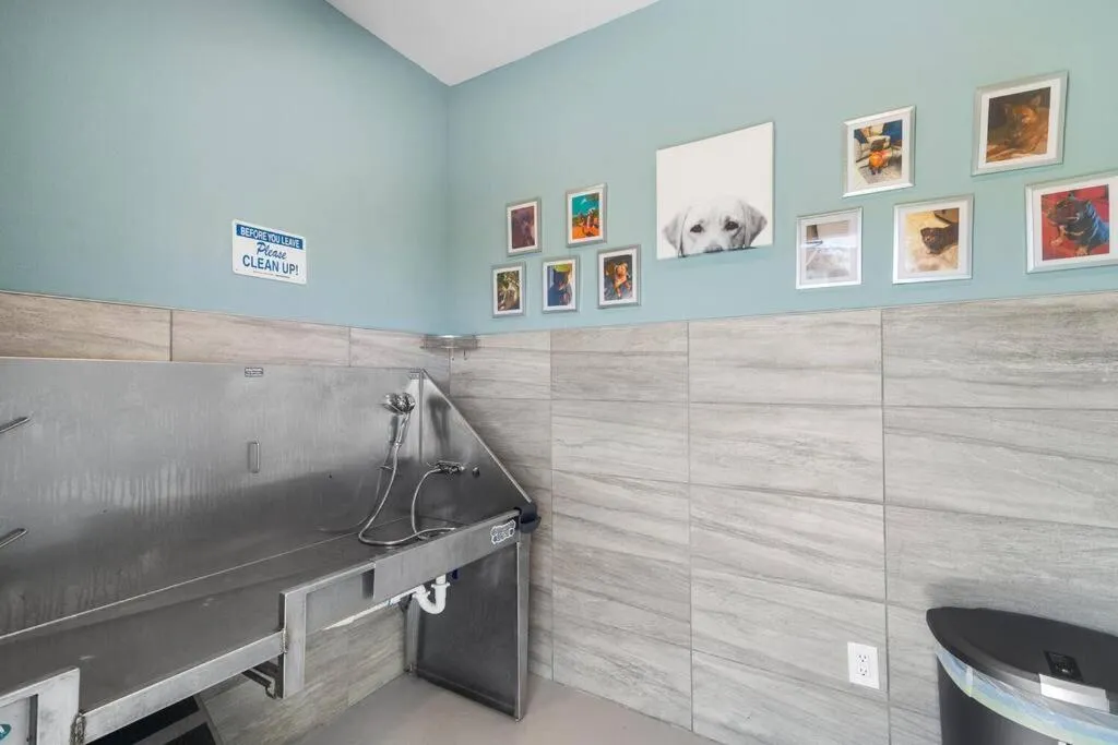 Luxe 1BR/1BA: Dive, Rest, Explore. Book Now!