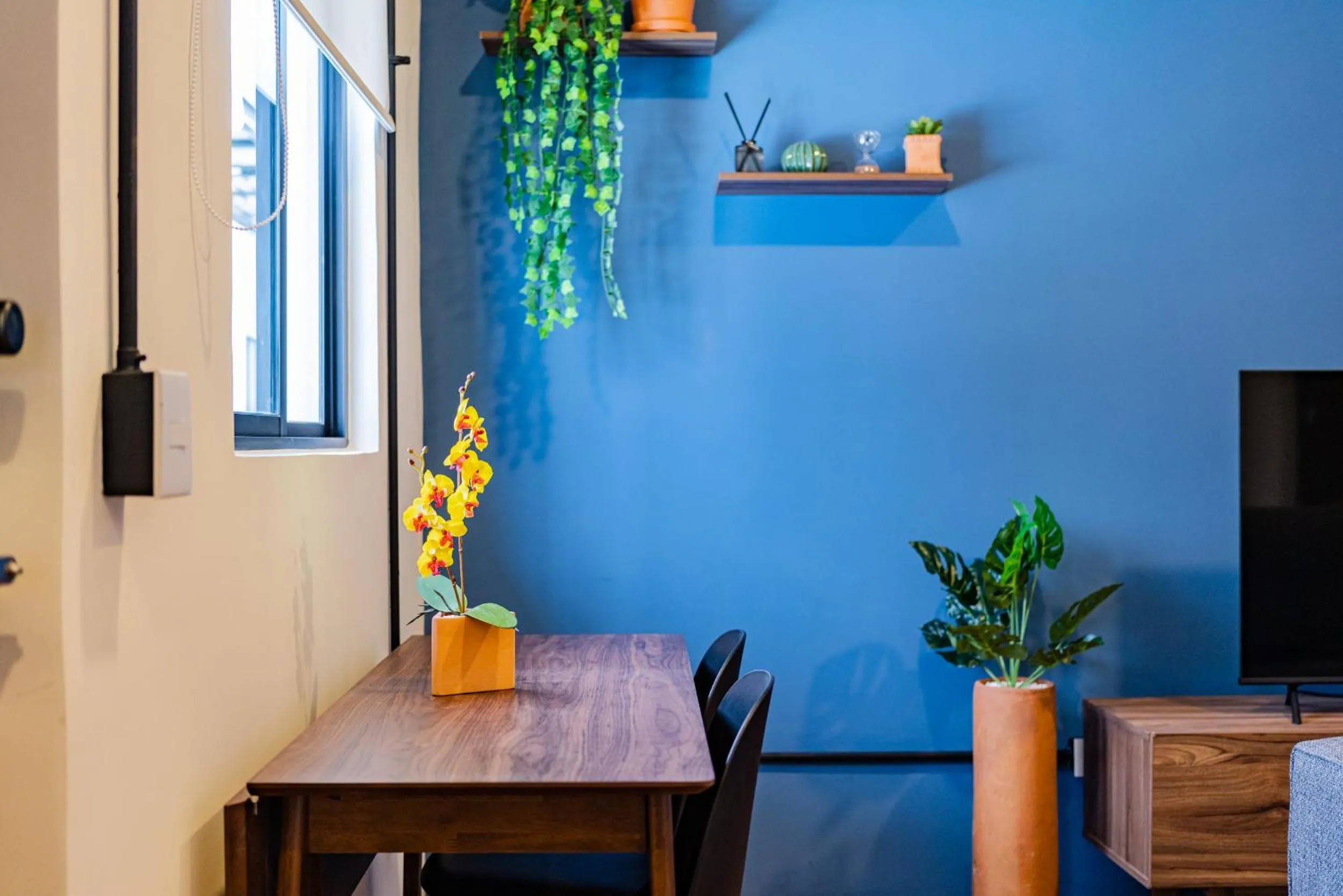 TV and multimedia in Mariano Escobedo Apartments by VH