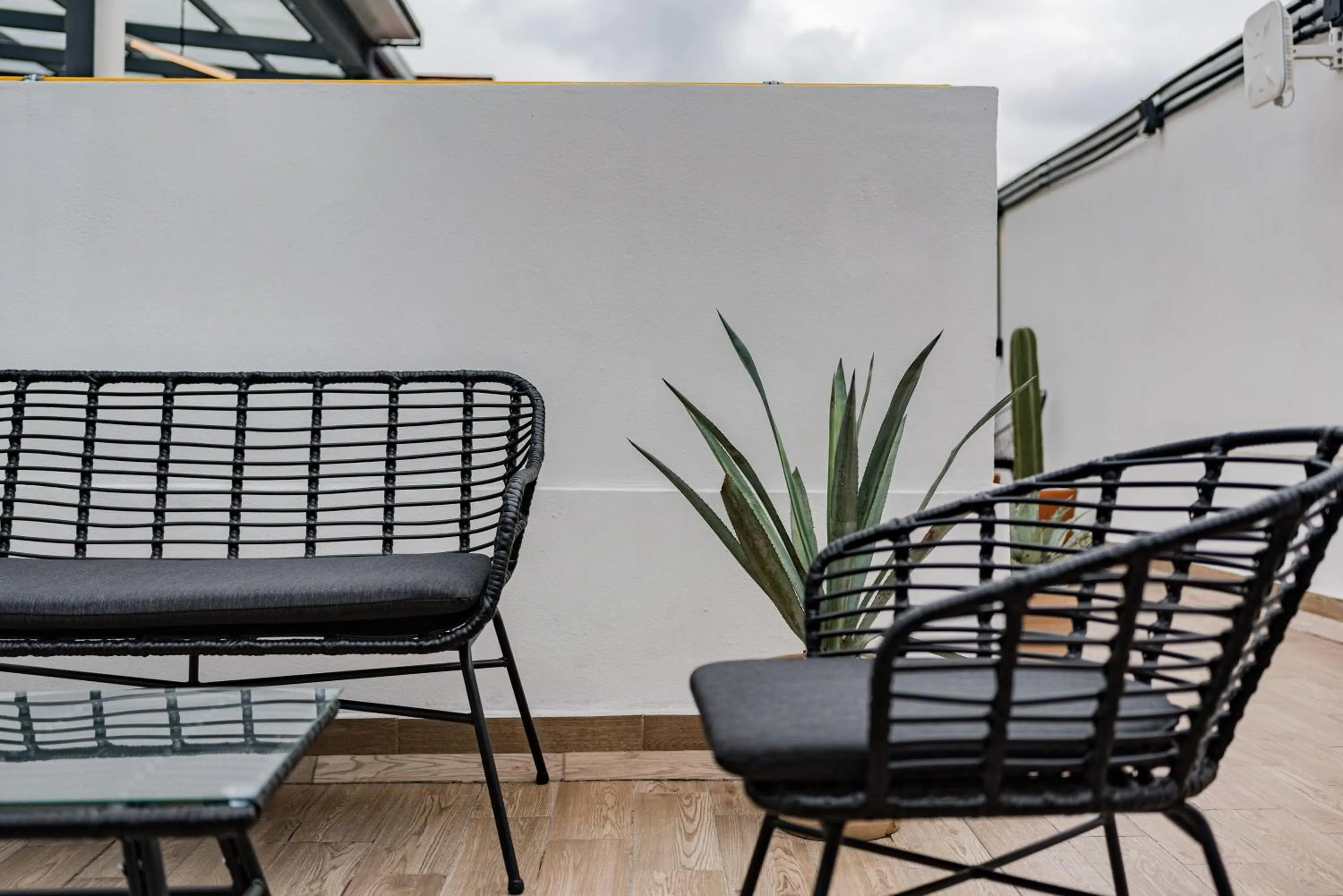 Area and facilities in Mariano Escobedo Apartments by VH