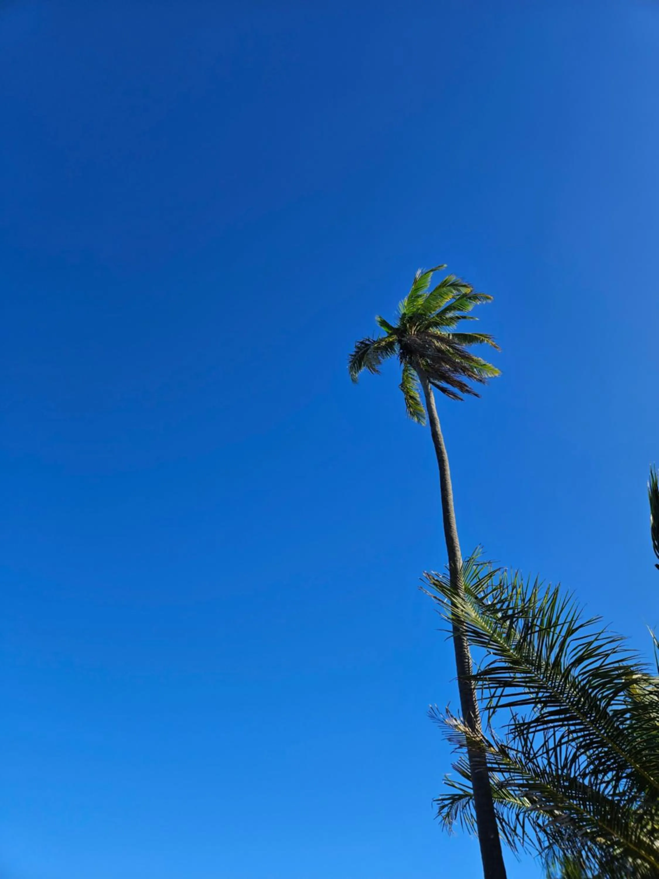 Day in AL MAR SUÍTES