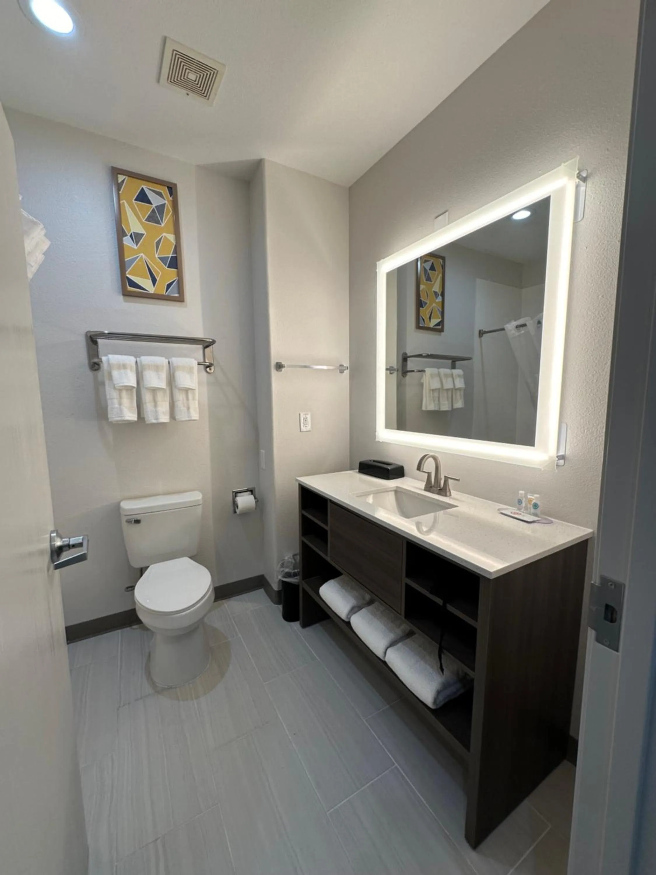 Toilet in Comfort Inn & Suites Schulenburg