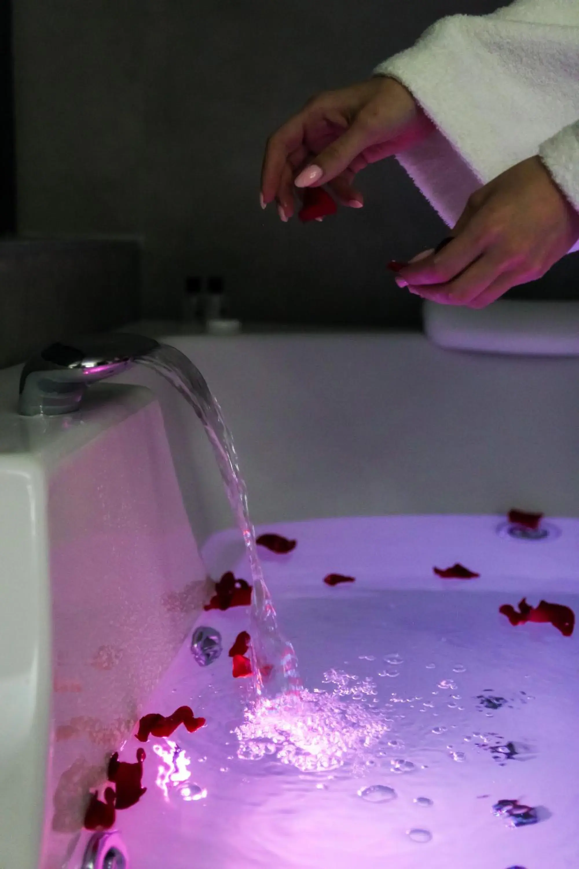 Family Room in City Joy - sports Center Tasmajdan Family Room in City Joy - sports Center Tasmajdan