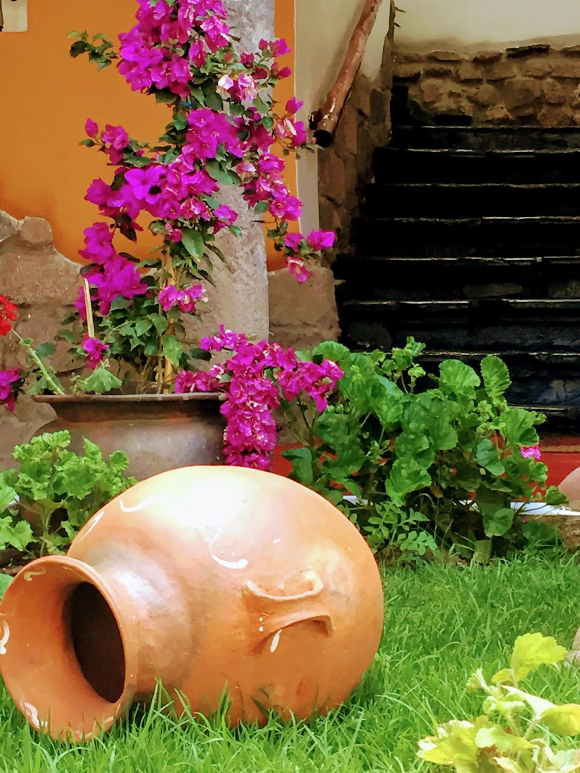 Garden in Kori Gems Inn