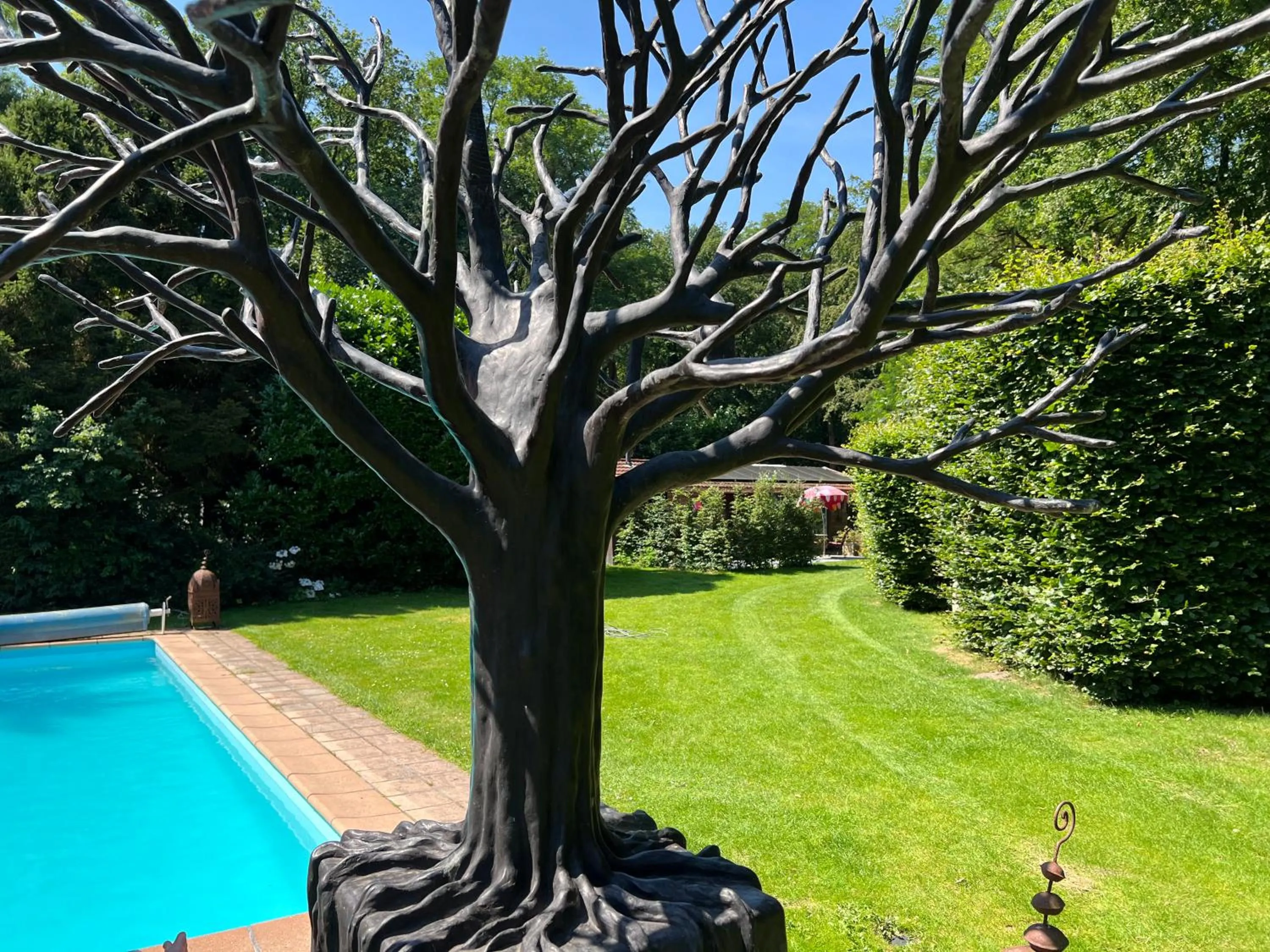 Garden in Villa de Nachtegaal