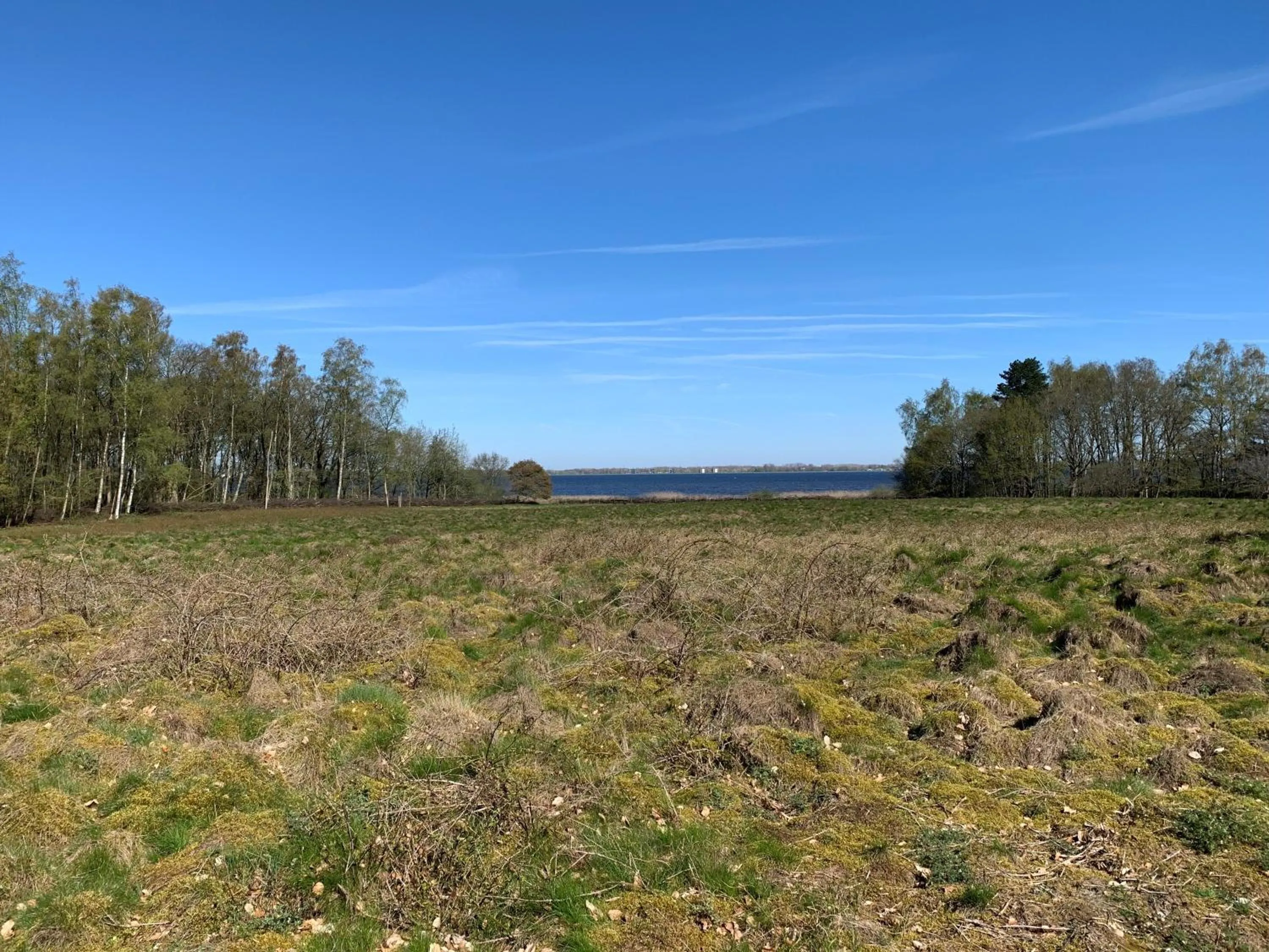 Activities in Villa de Nachtegaal