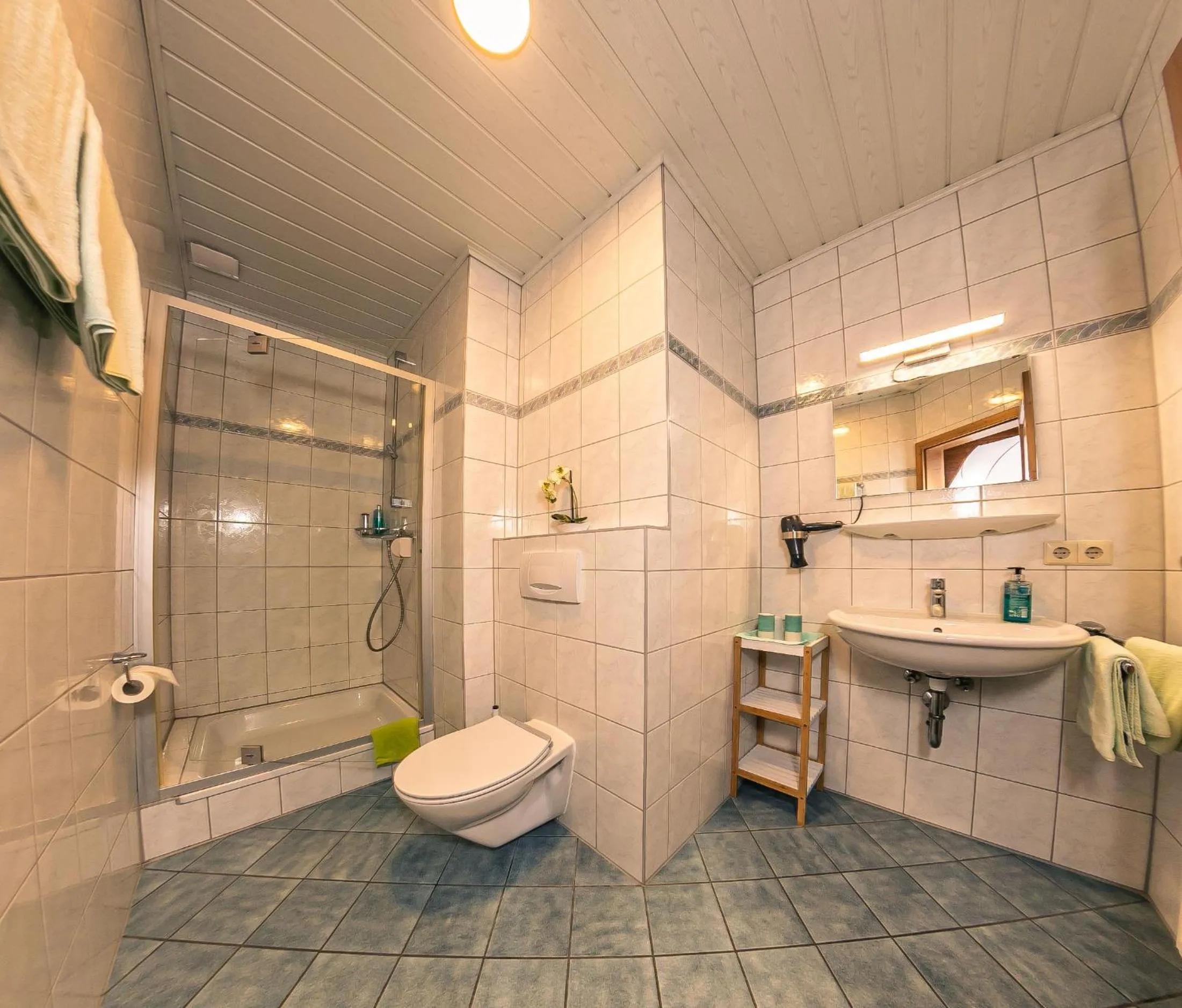 Shower in Gasthof Schneiderwirt, Kipfenberg OT Hirnstetten