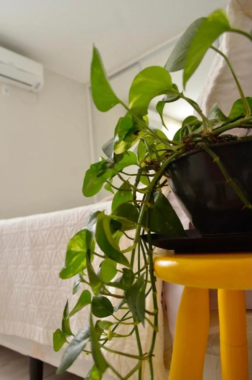 Bed in Ed Casablanca proximo a Av T63 shopping e parque