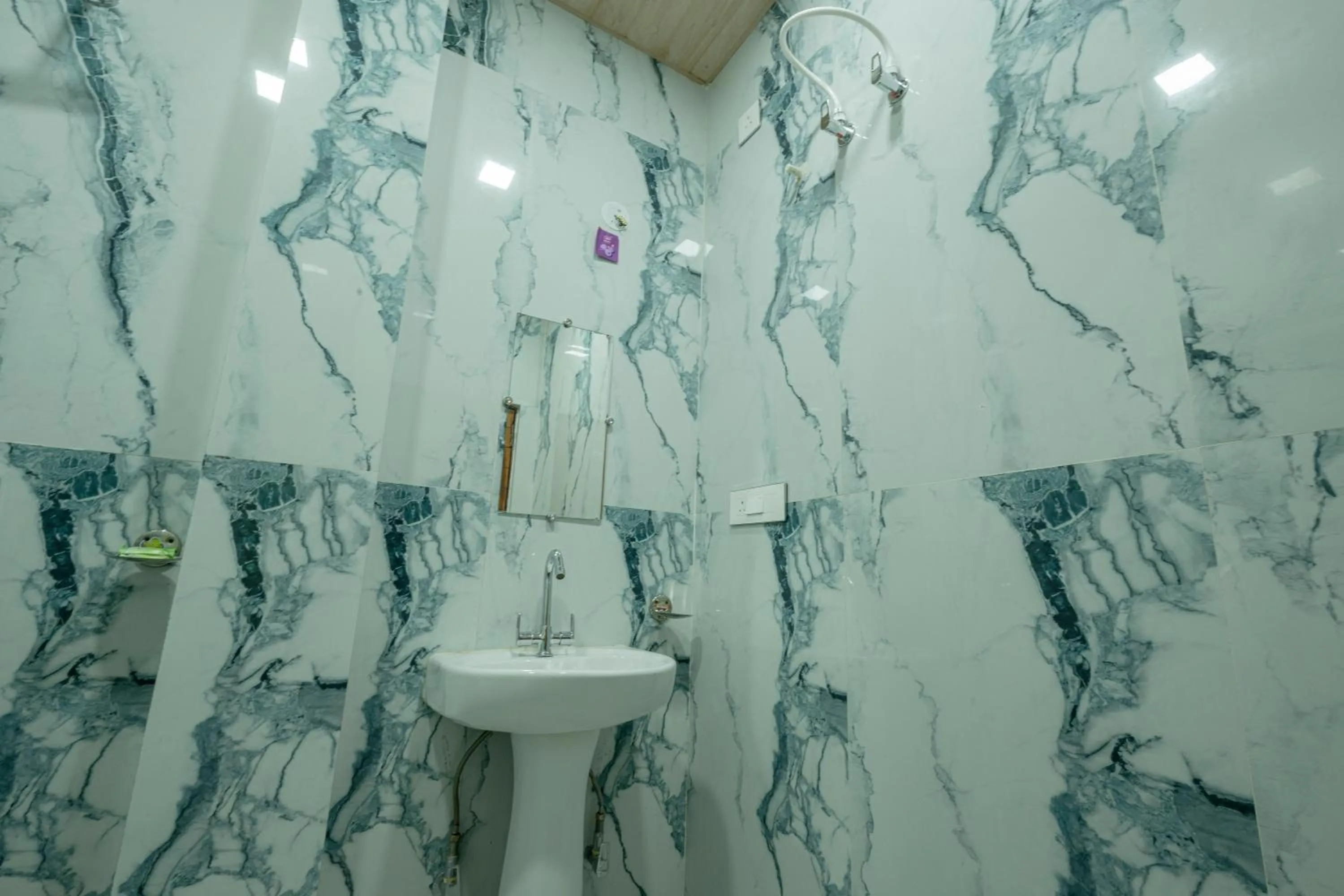 Bathroom in Ashoka Hotel Karol Bagh Delhi