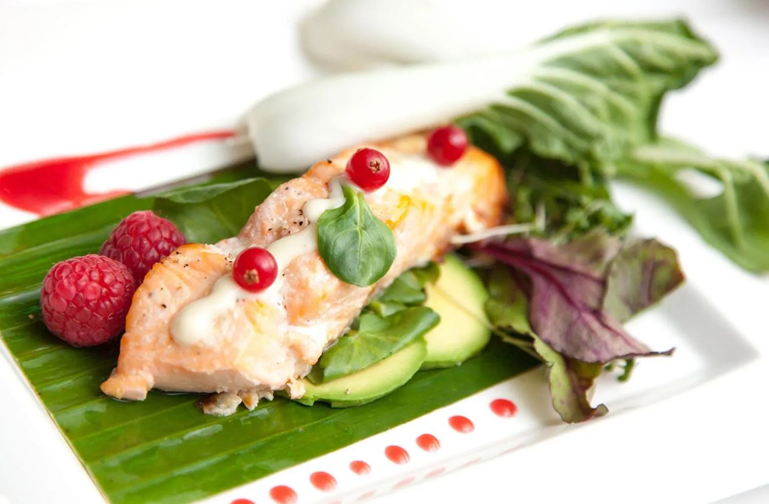 Food close-up, Food in Wish Leisure