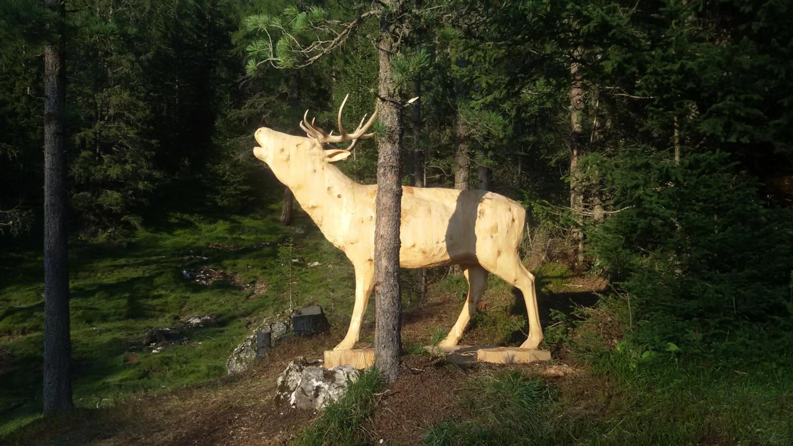 Animals in Garni La Majon