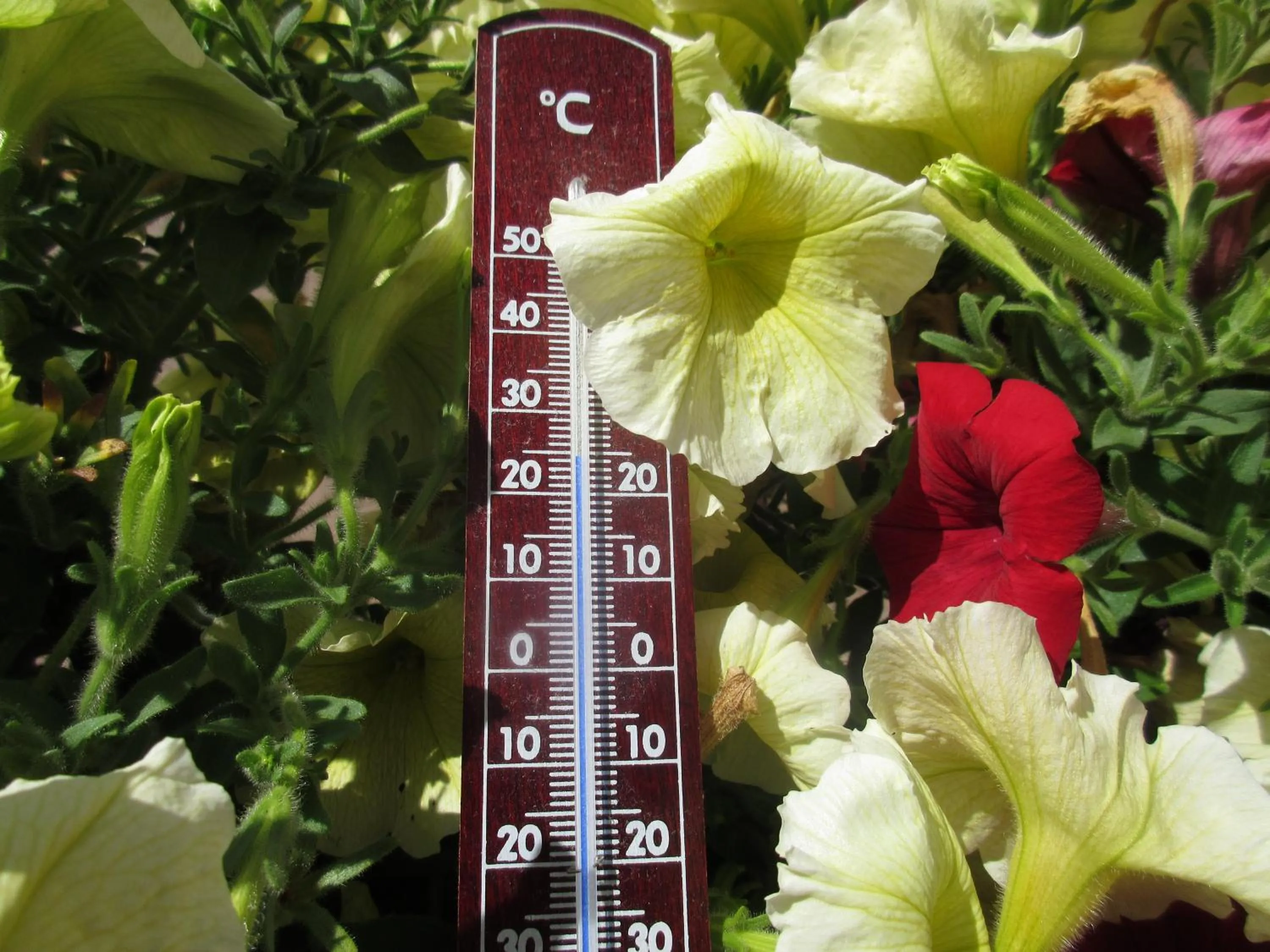 Garden in Garni La Majon