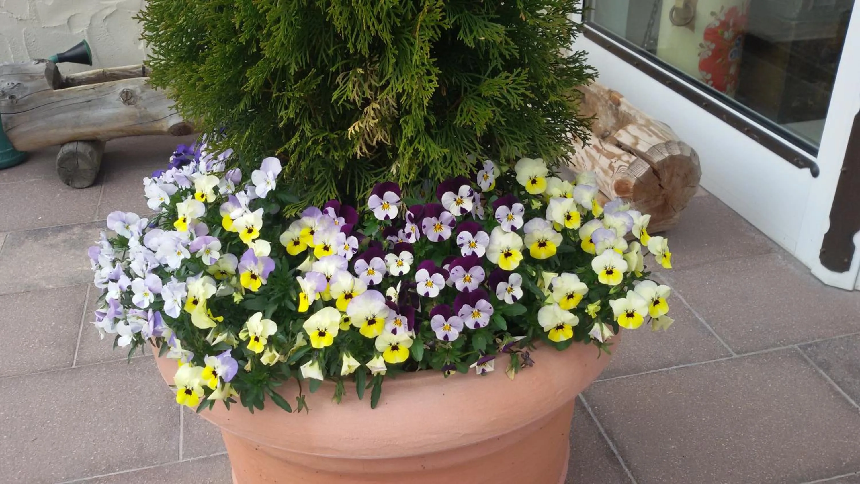 Spring in Garni La Majon