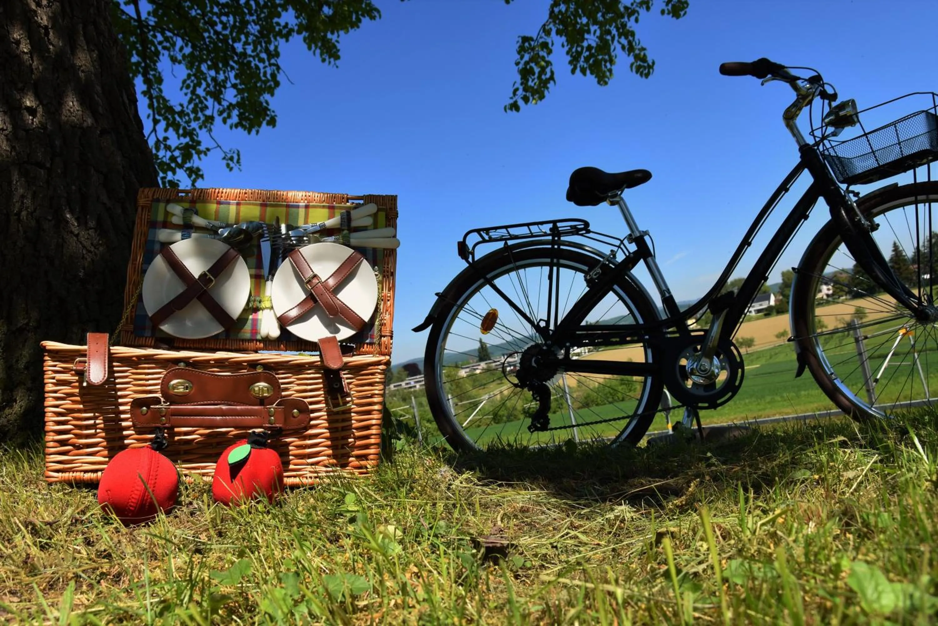 Cycling in JUCKERs Boutique-Hotel