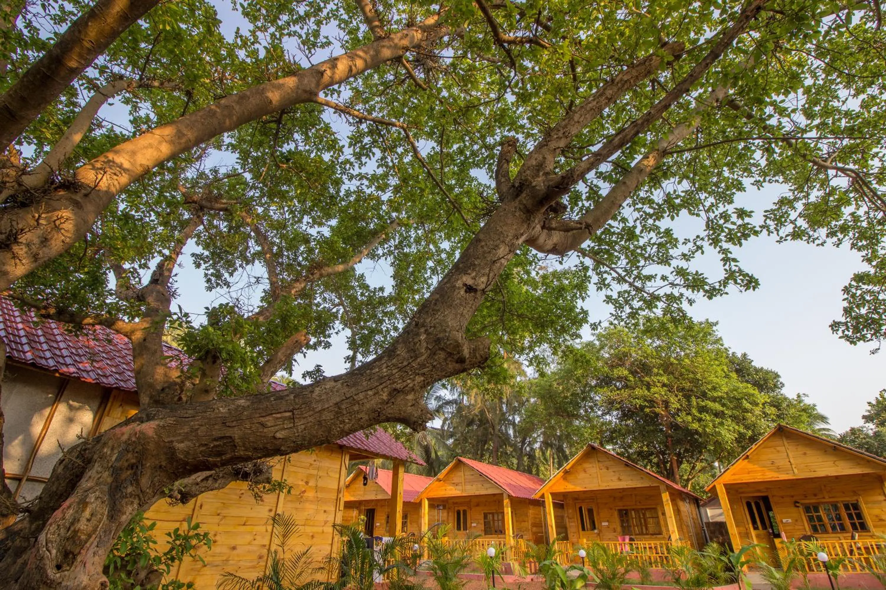 Property building in Zen Lazy Days Agonda